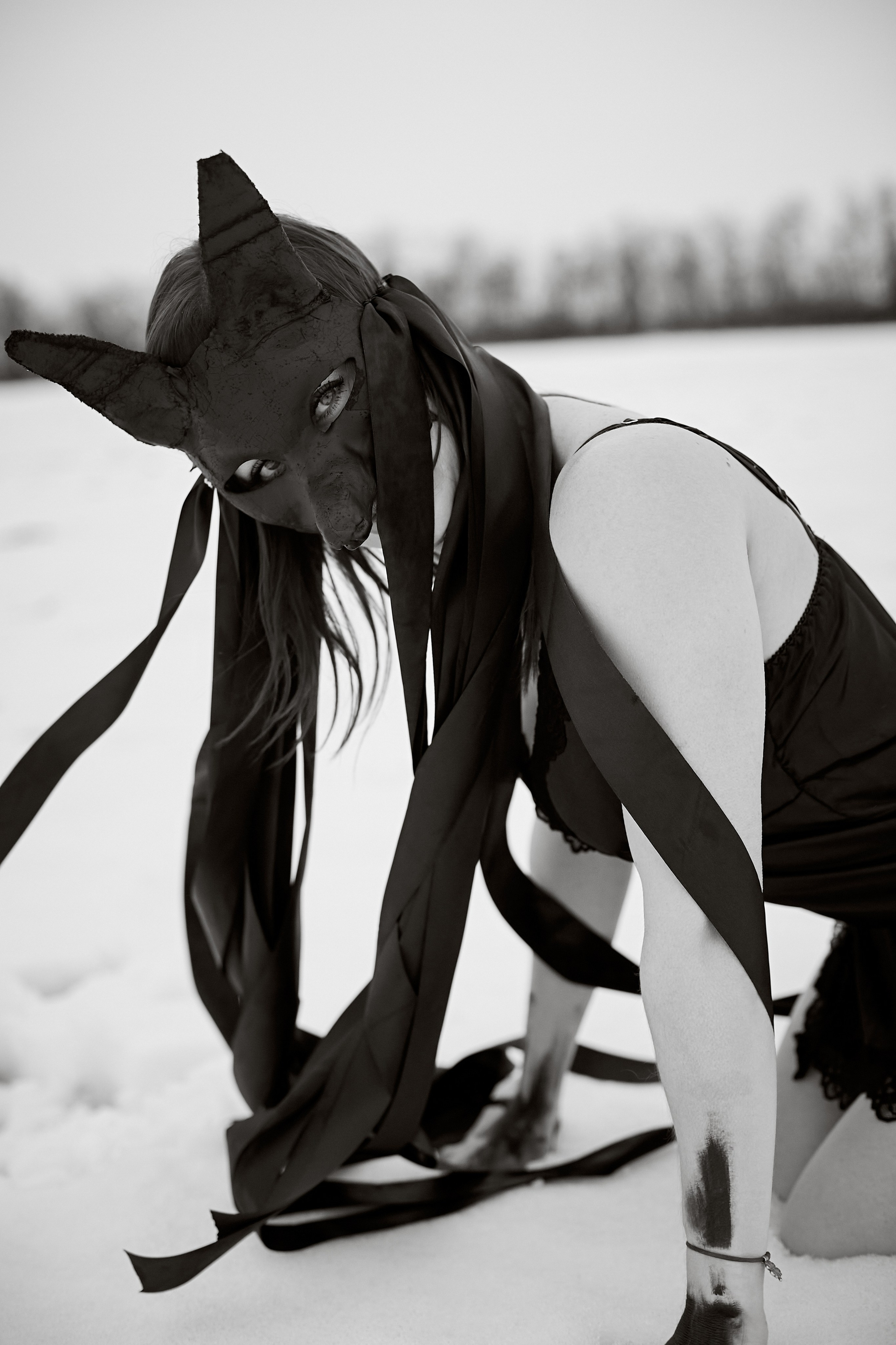 «Снежная волчица». Свадебный и креативный фотограф в ЮФО