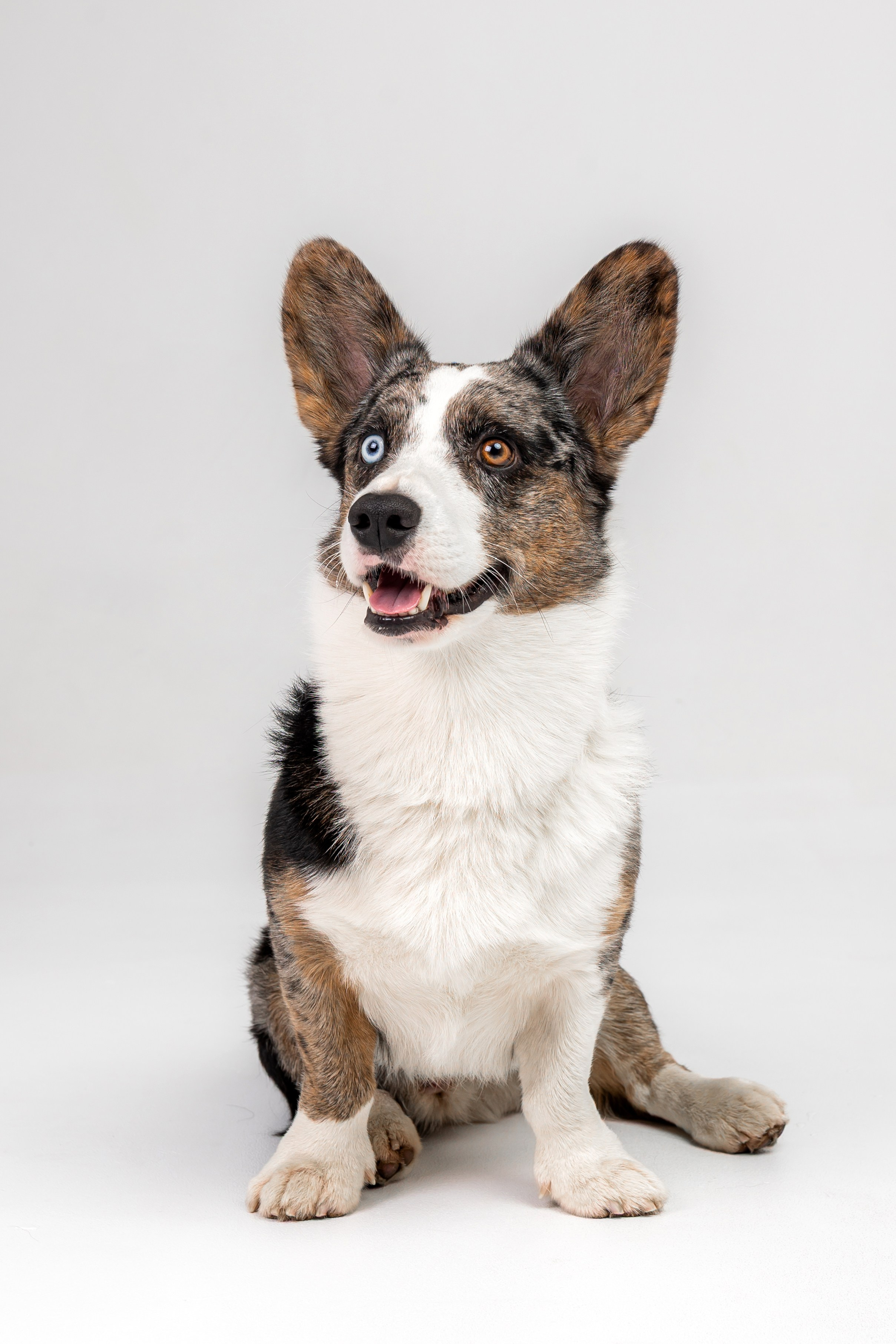 Анатолий и Рагнар