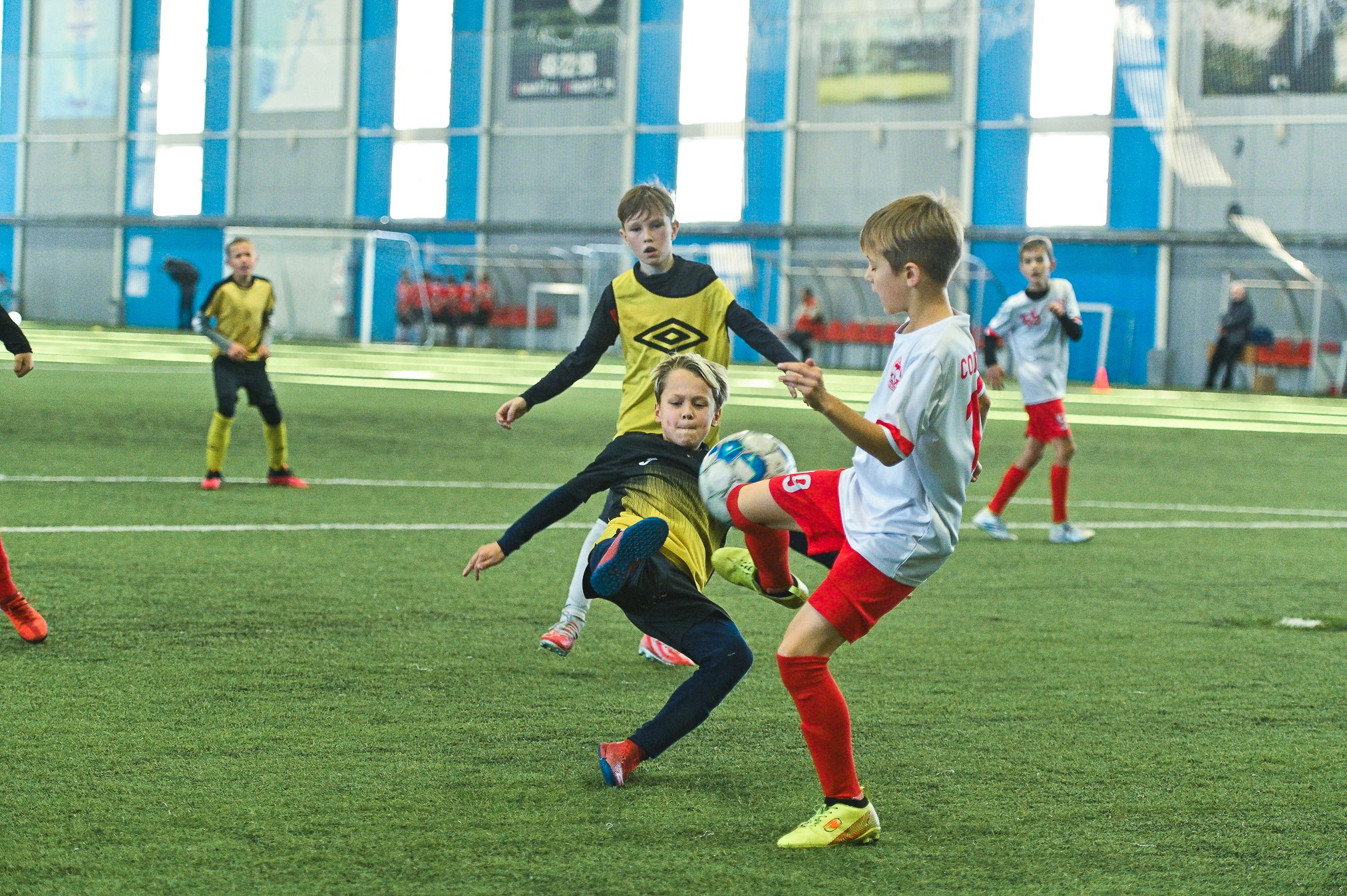 Металлург-Бердск. ProfotoNK