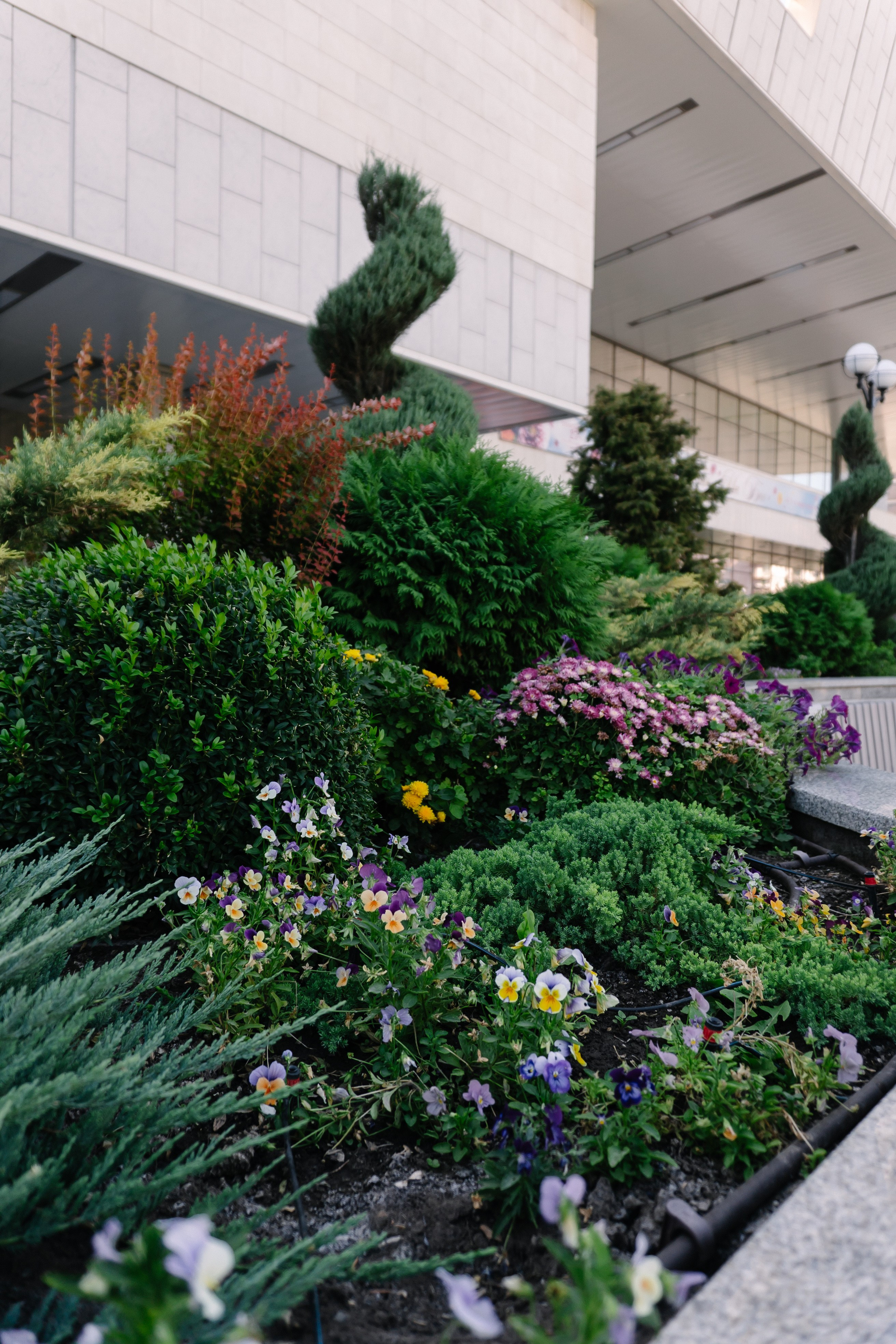 Локации для школьных съемок. Семейный фотограф и видеограф Ростов-на-Дону