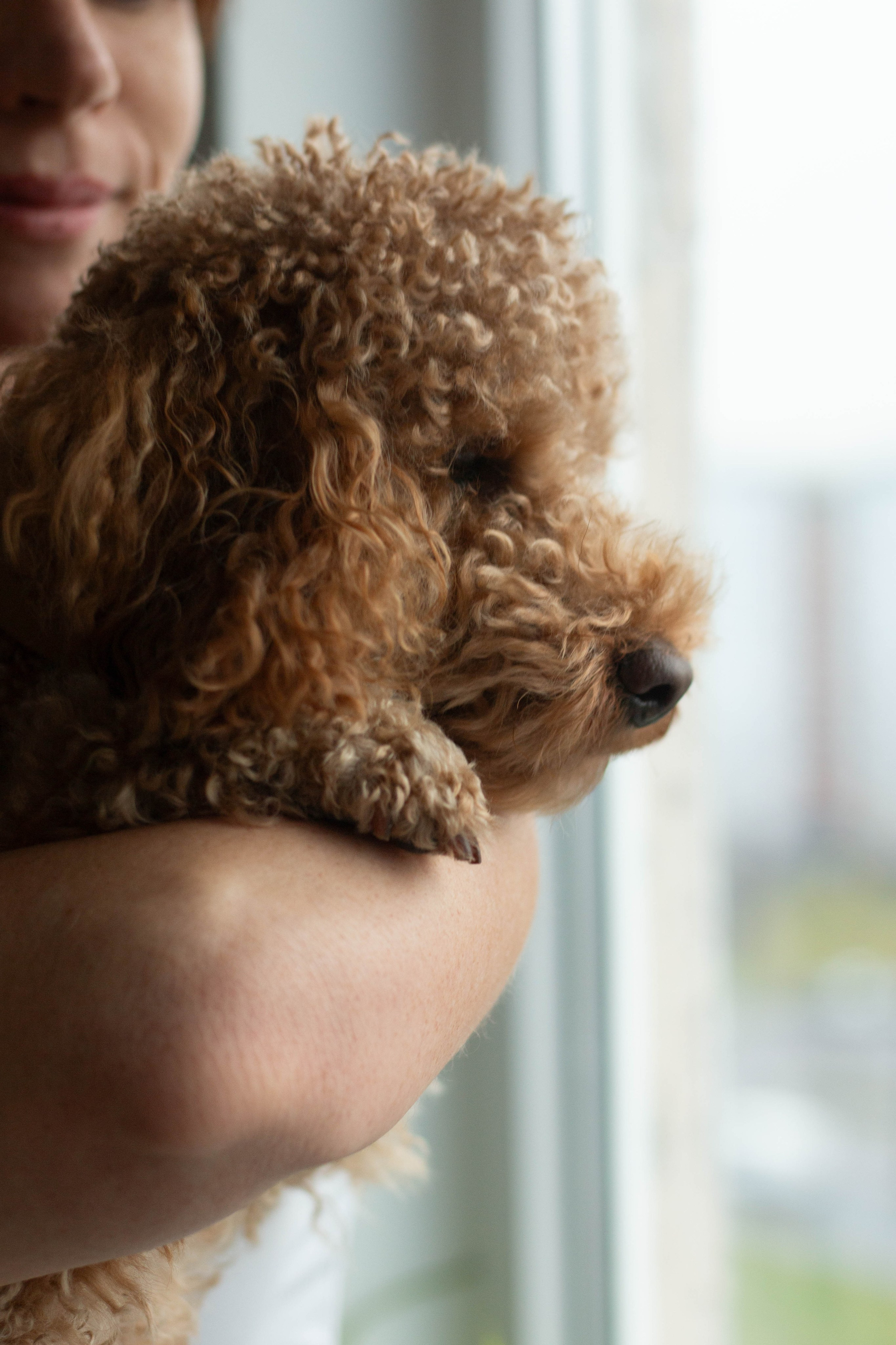 Olga & Eric. Бережно сохраняю ваши чувства и истории на своих фотографиях