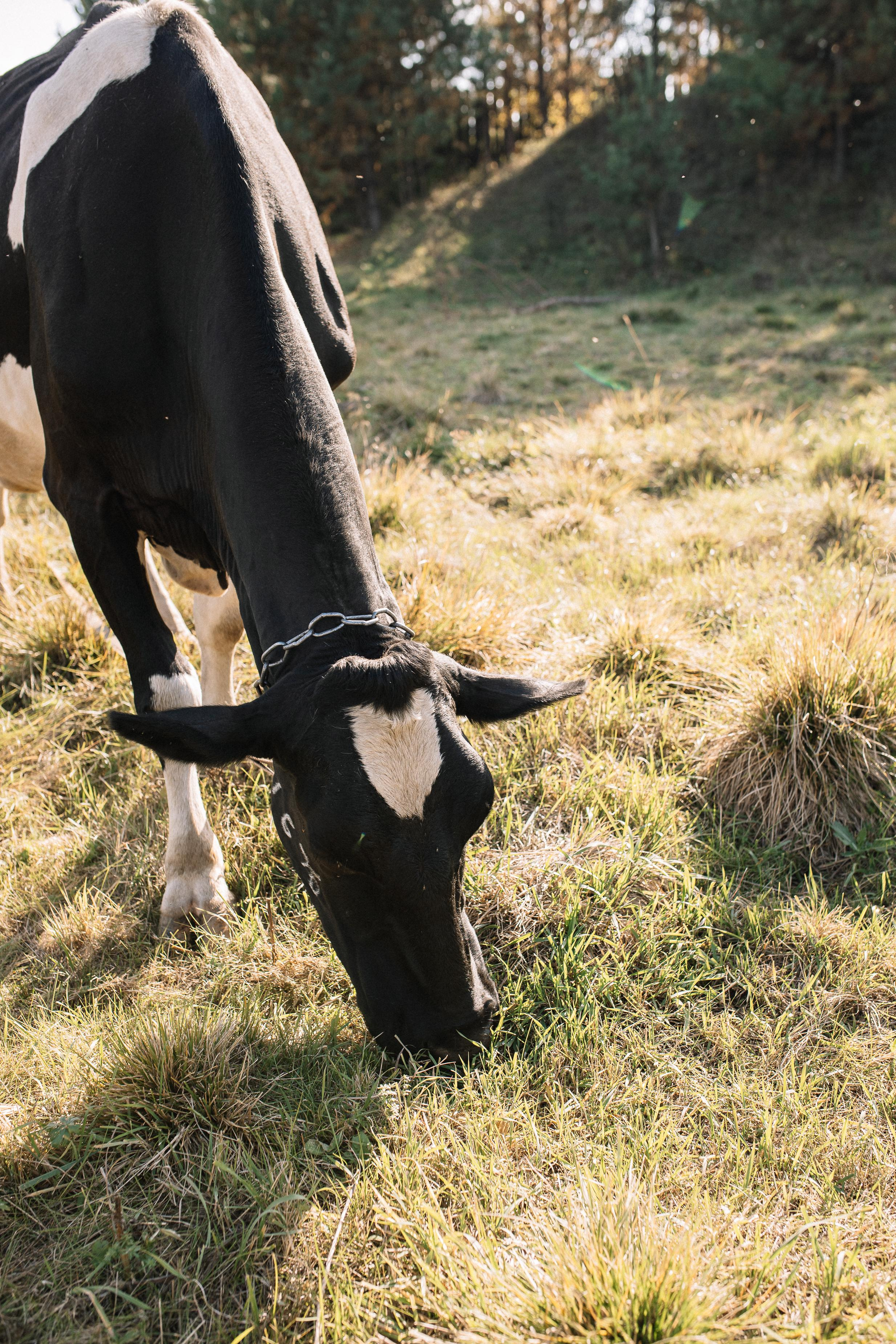 Женя, Миша и Маруся. Семейный фотограф Трусова Евгения в Екатеринбурге