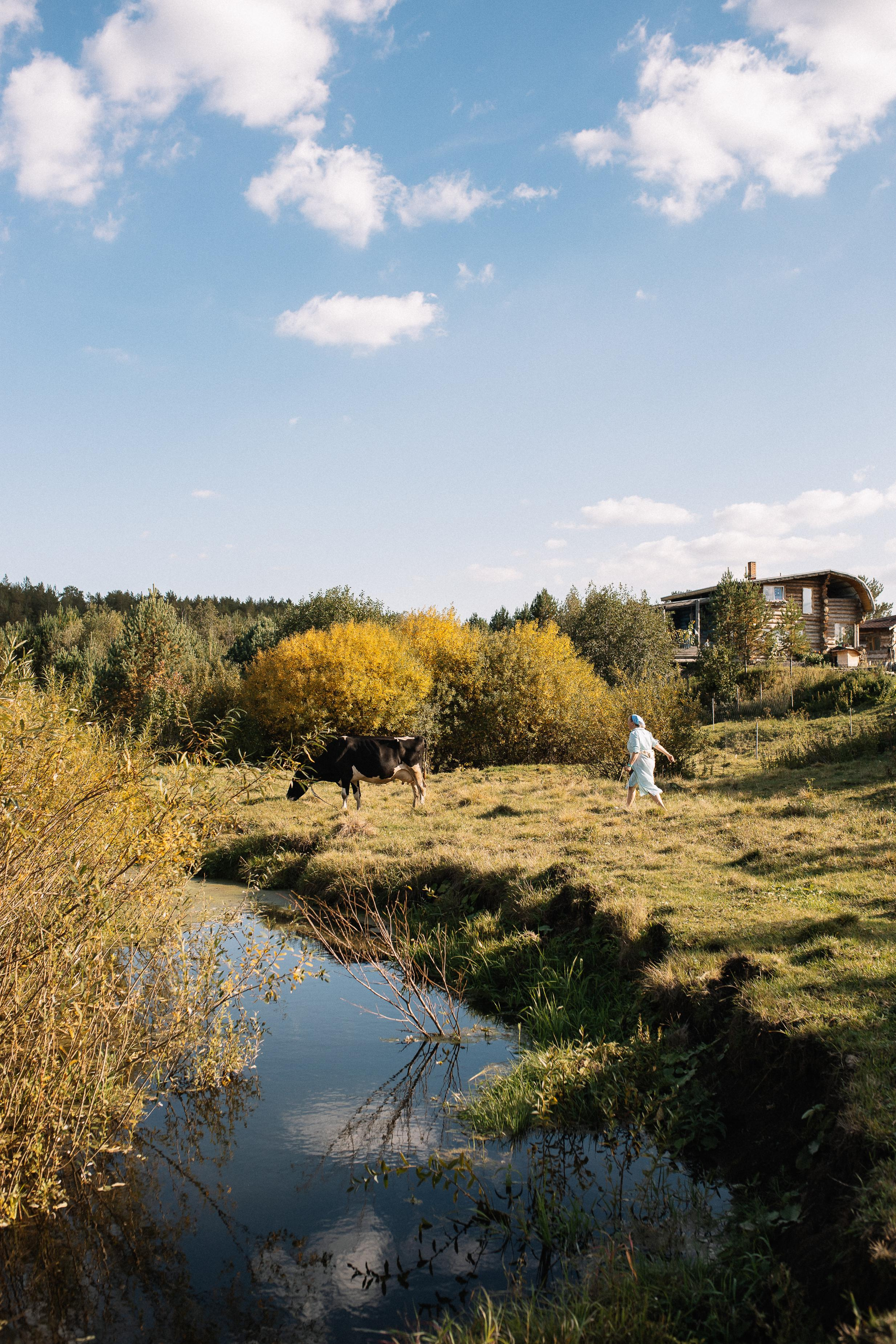 Женя, Миша и Маруся. Семейный фотограф Трусова Евгения в Екатеринбурге