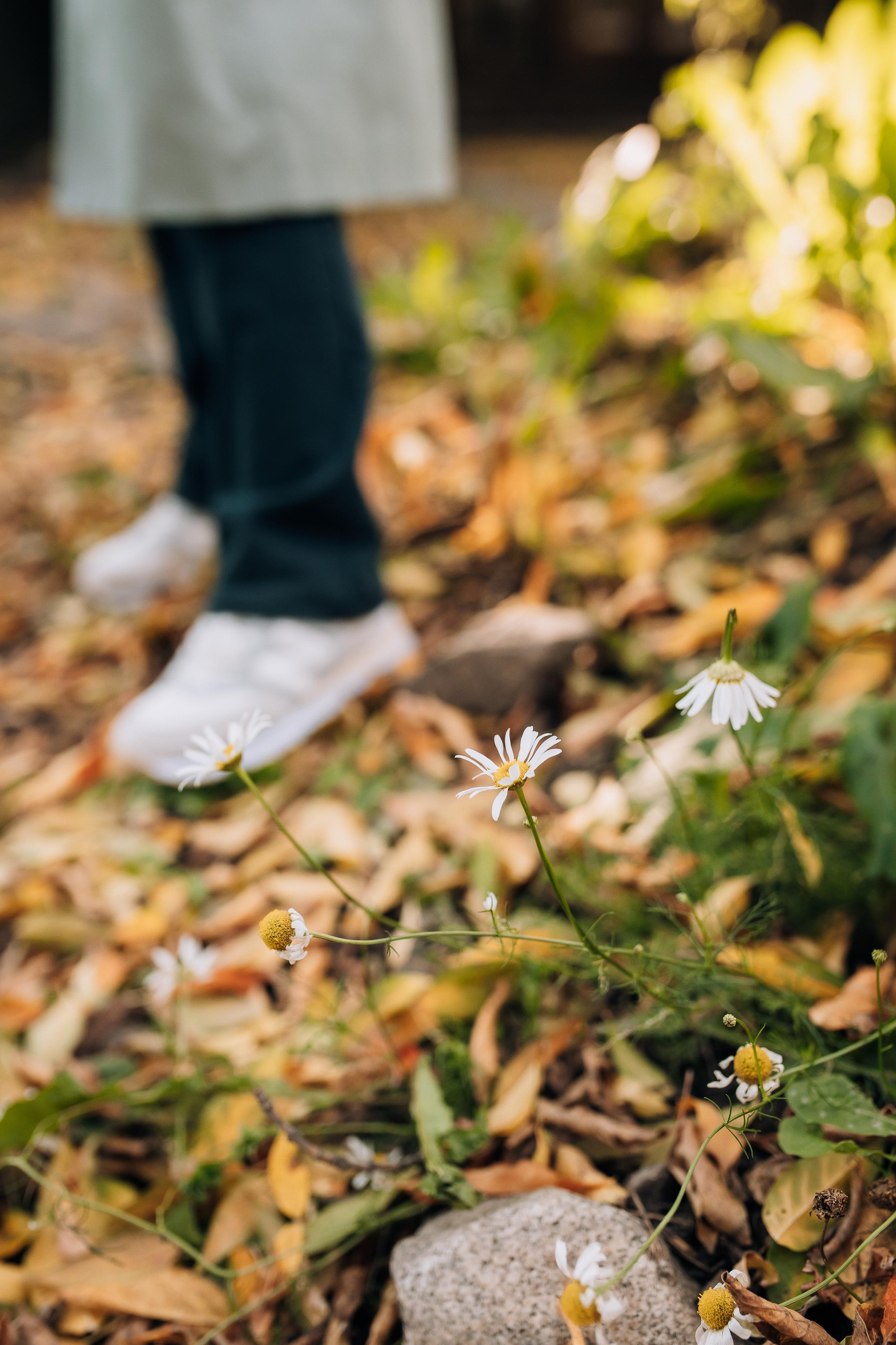 Лариса, Литературный квартал. Семейный фотограф Трусова Евгения в Екатеринбурге
