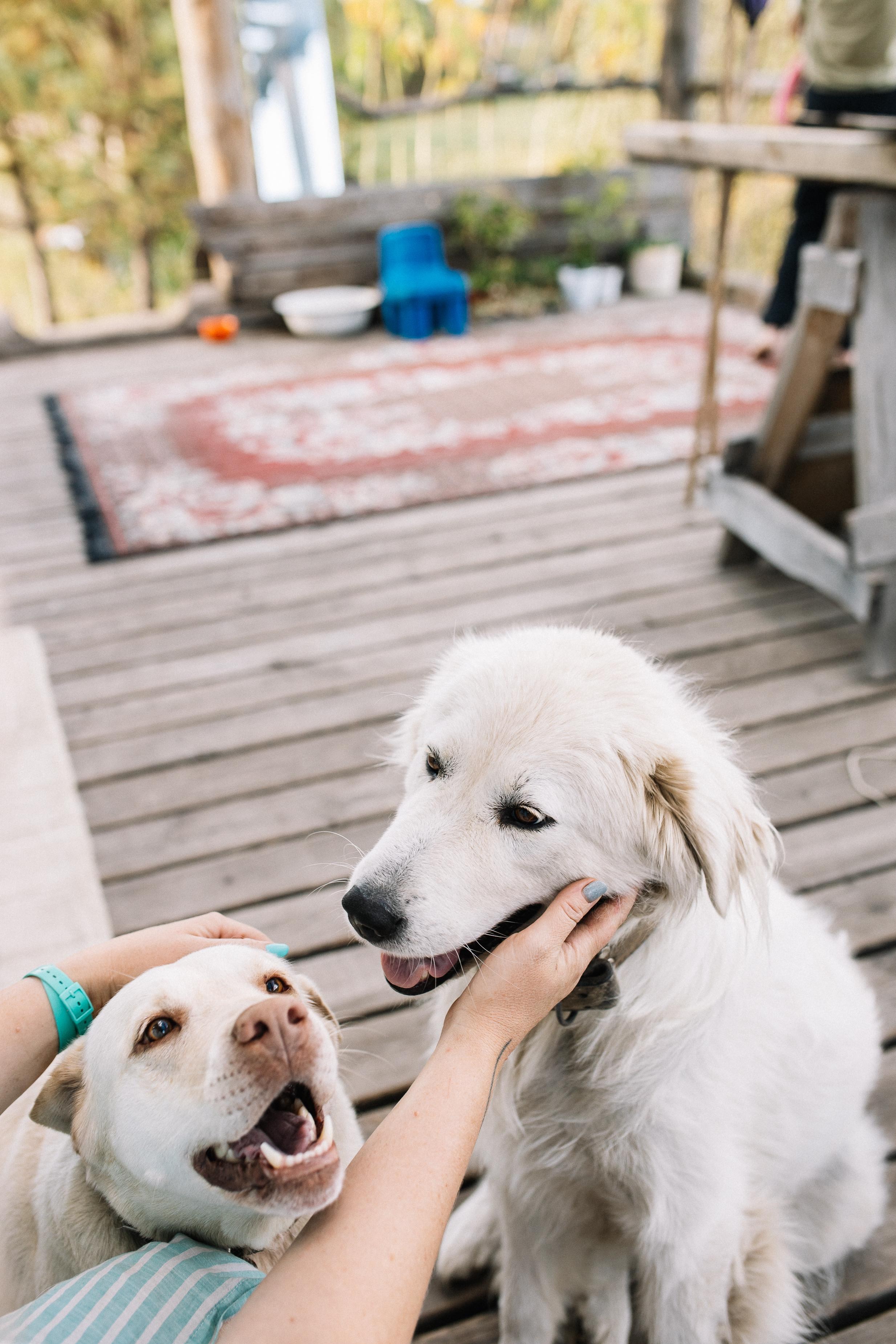 Женя, Миша и Маруся. Семейный фотограф Трусова Евгения в Екатеринбурге