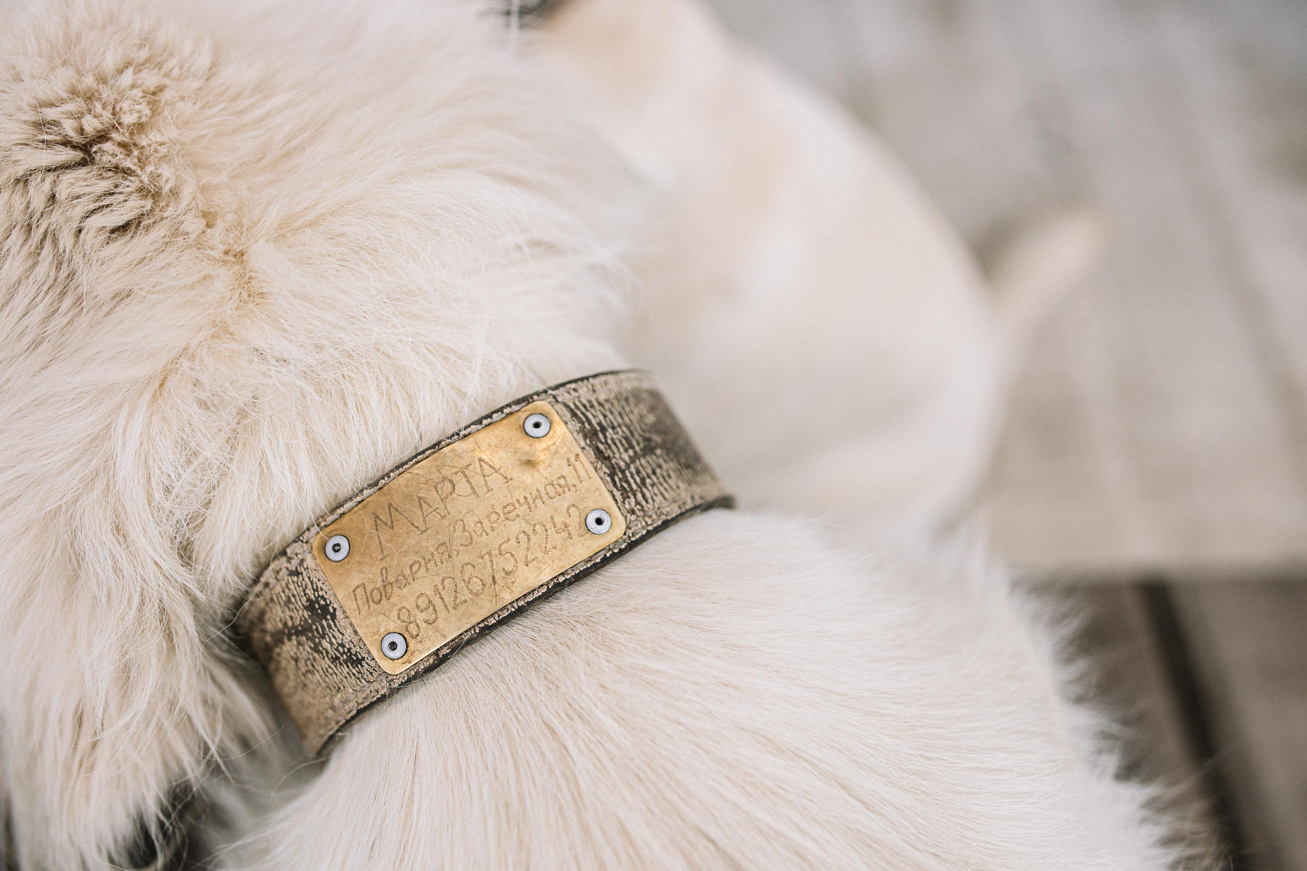 Женя, Миша и Маруся. Семейный фотограф Трусова Евгения в Екатеринбурге