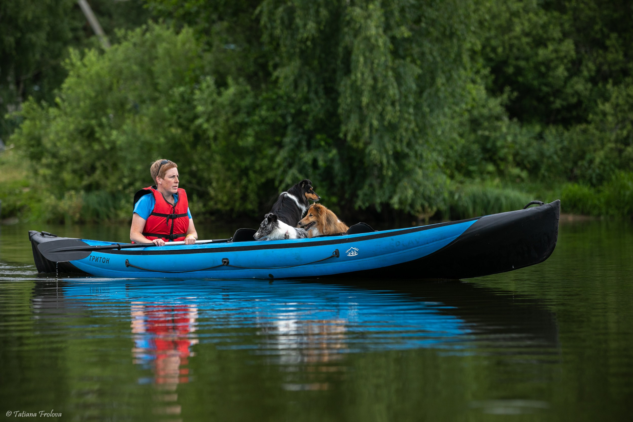 Фотоочет о сплаве на байдарках вместе с собаками. Фотограф-анималист в Москве и Московской области Татьяна Фролова