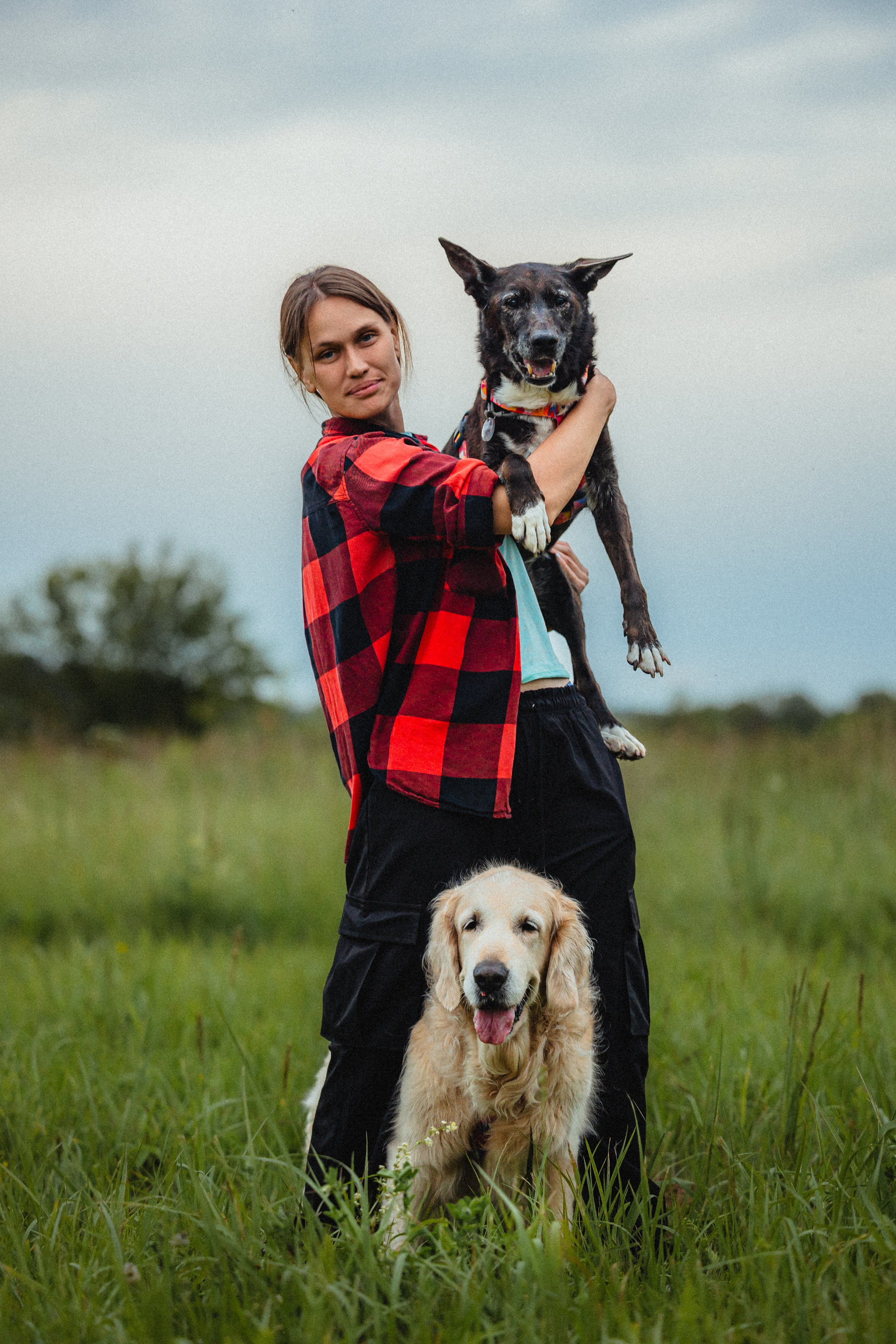 Выездной дог-тренинг от школы «Шерсть имею»