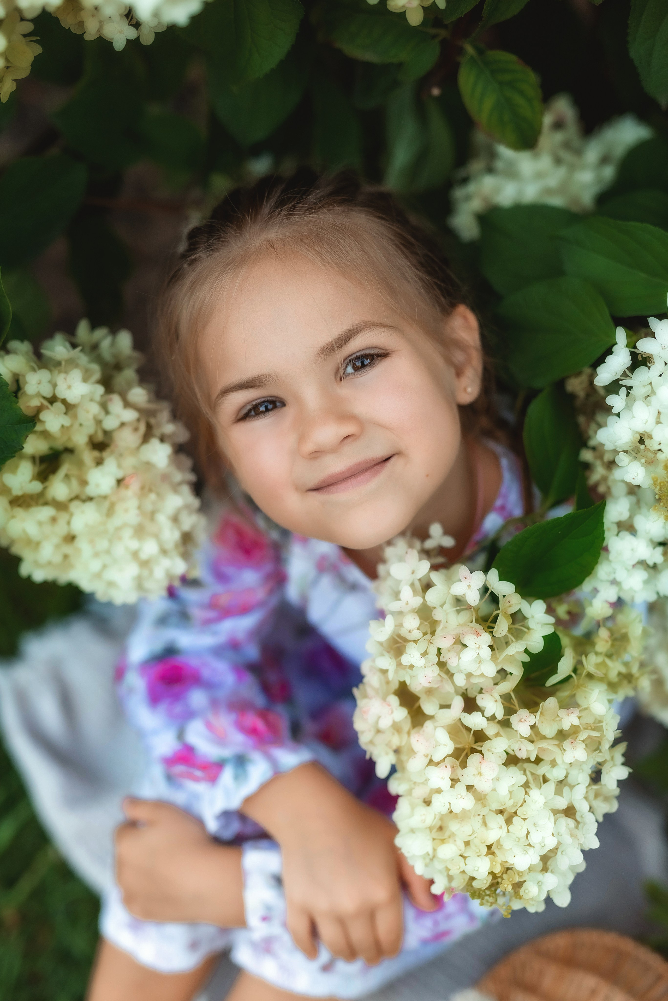 Фотосессия в гортензиях. Семейный, детский фотограф в Воронеже Анна Никитина
