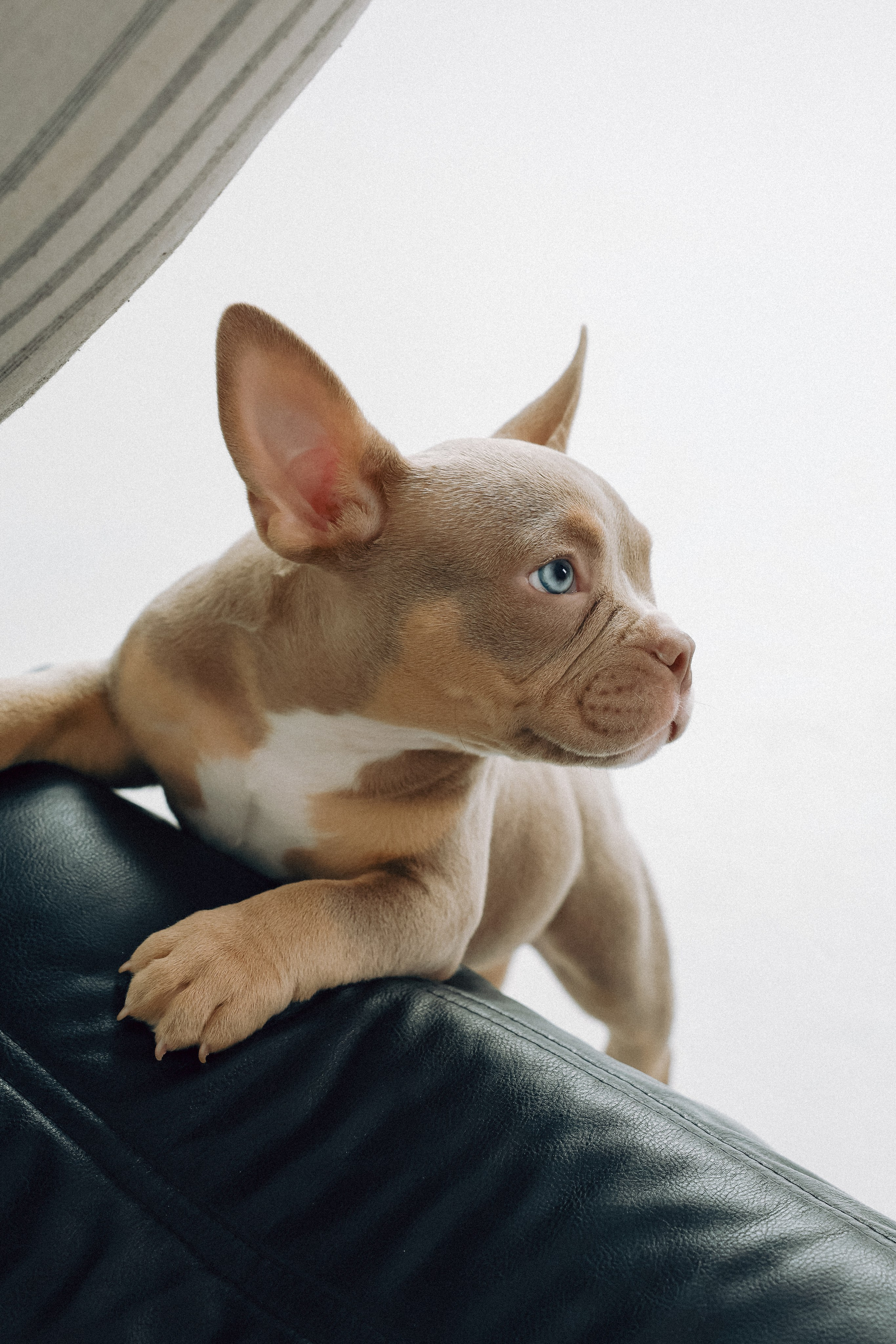 Семейная съемка с хвостиком. Фотограф Юлия Герасимова Иркутск