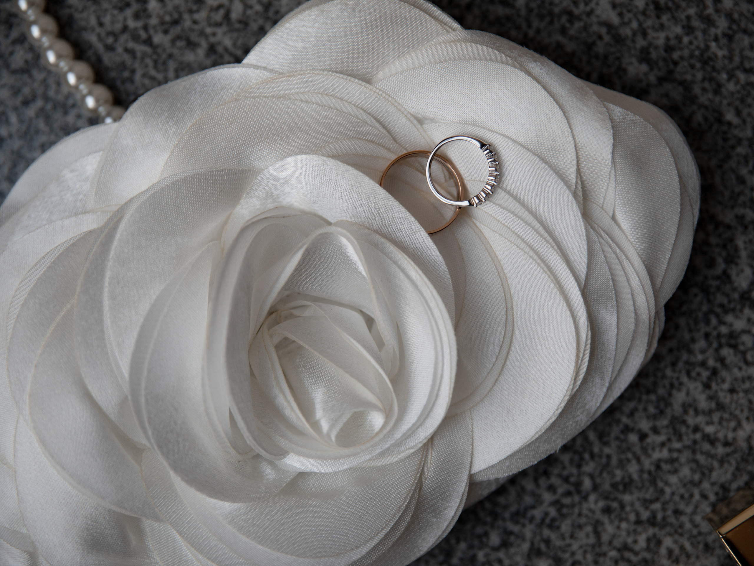 Ksenia_finance. @dariazphoto свадебный фотограф