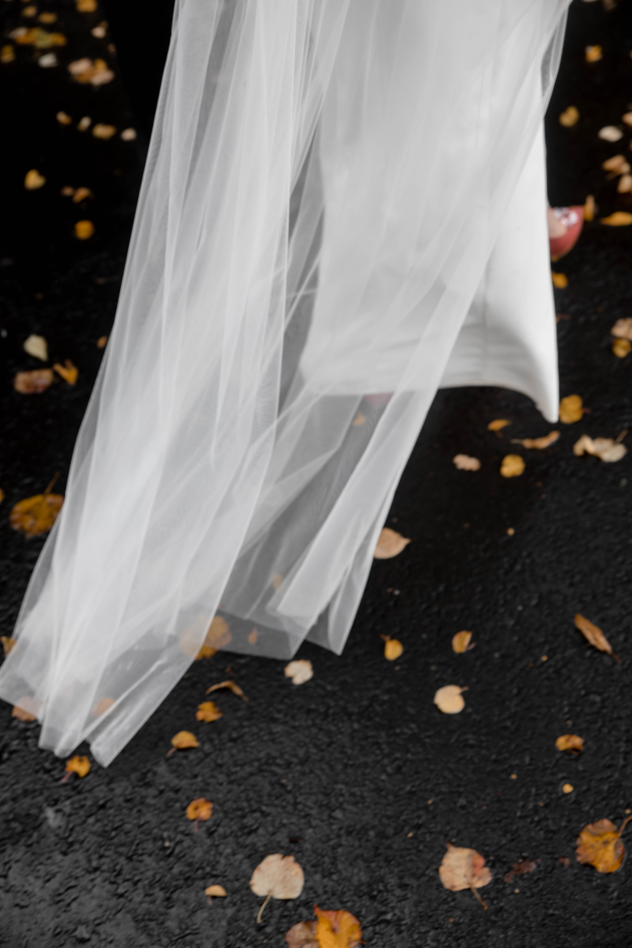 Александр и Мария. @dariazphoto свадебный фотограф