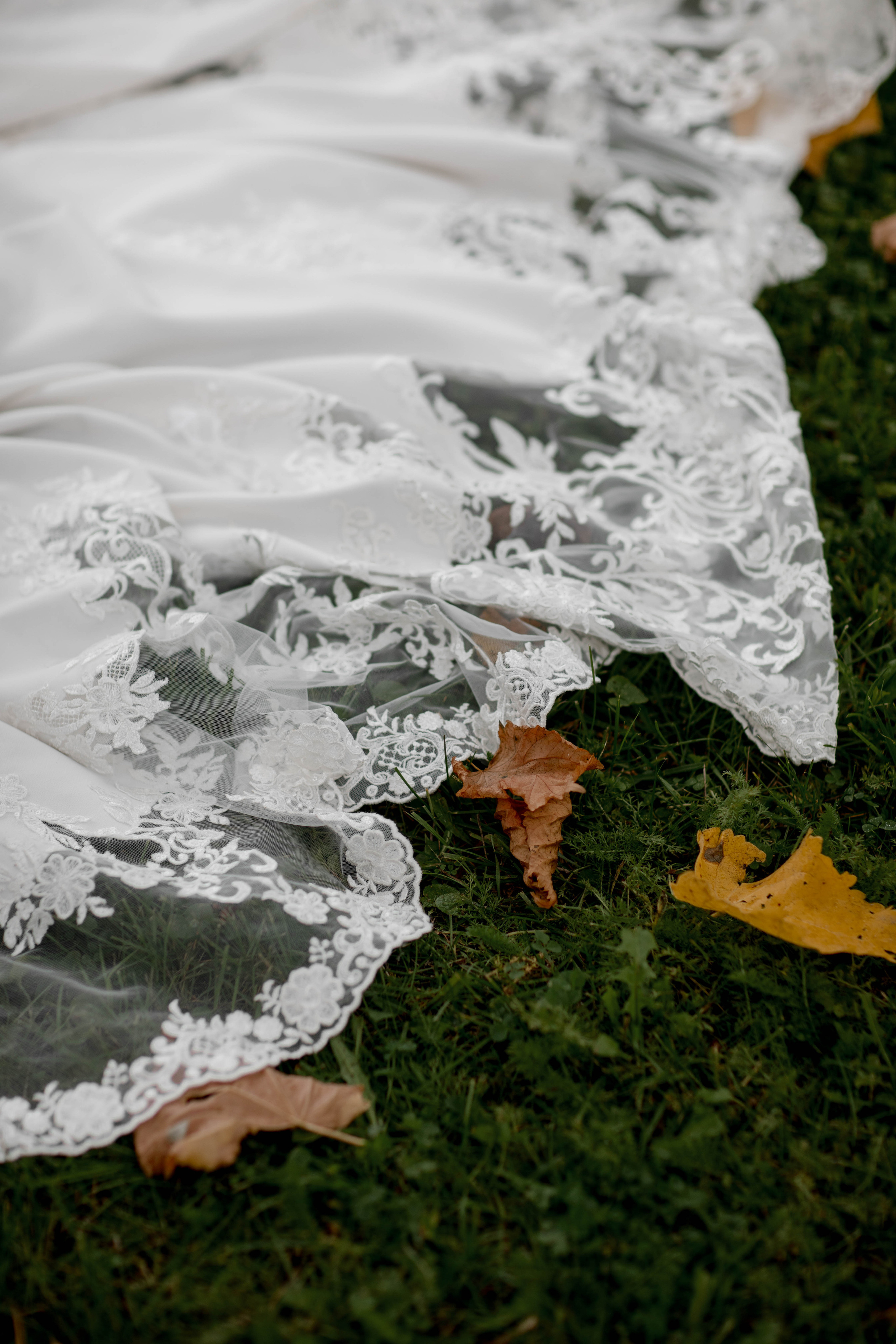 Максим и Софья. @dariazphoto свадебный фотограф