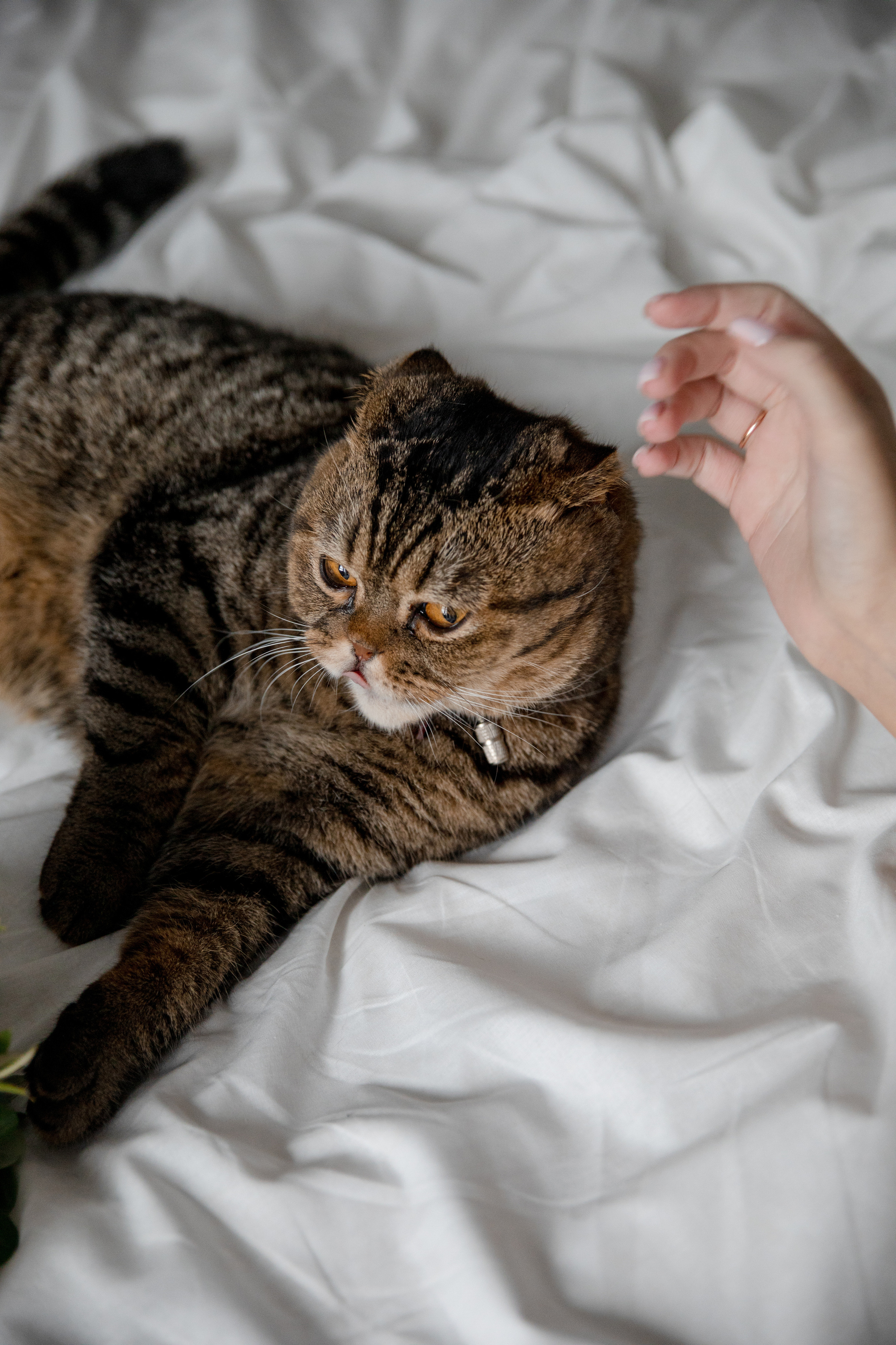 Владимир и Ангелина. @dariazphoto свадебный фотограф