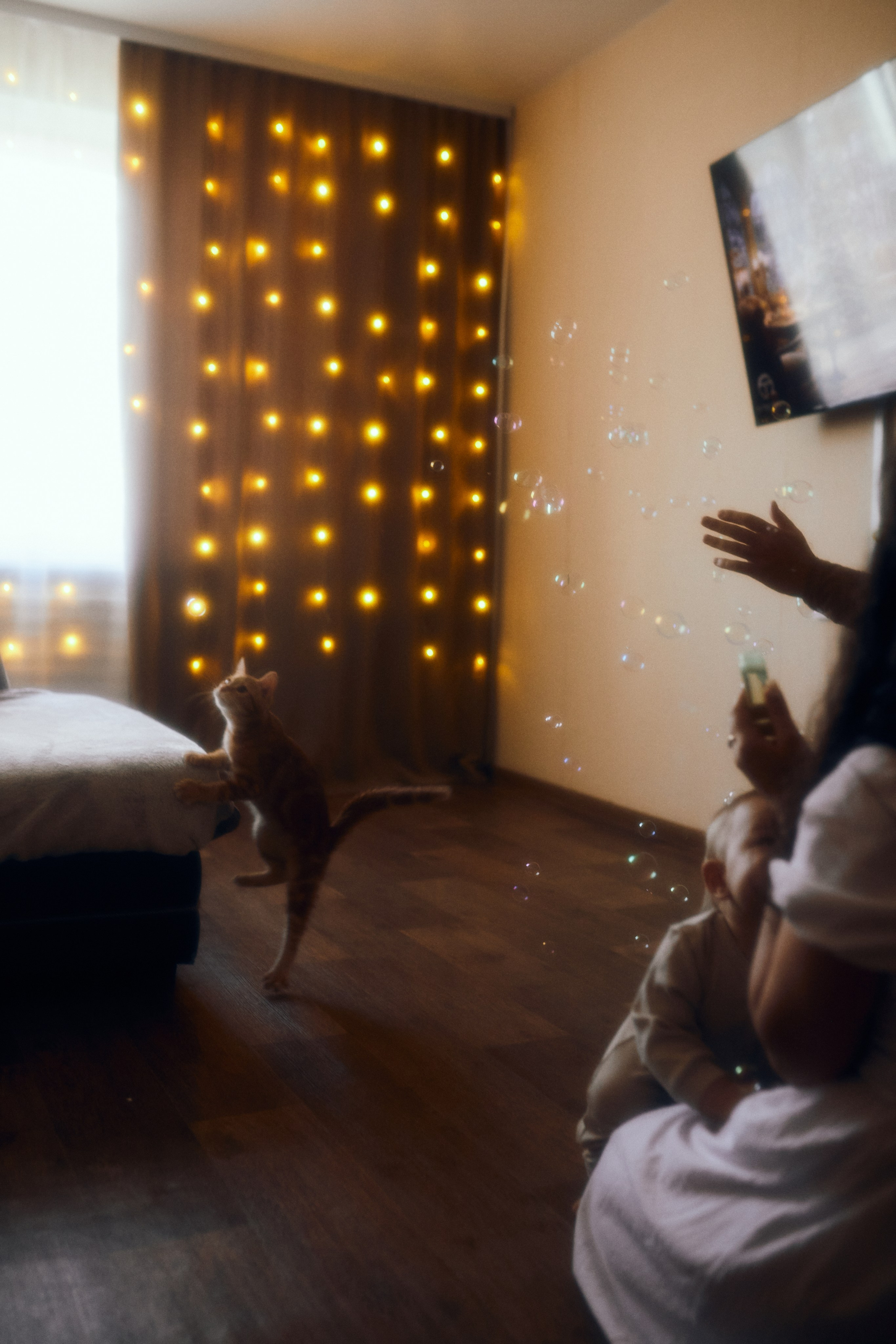 Домашний уют. Фотограф Ионова Анастасия, г Владивосток