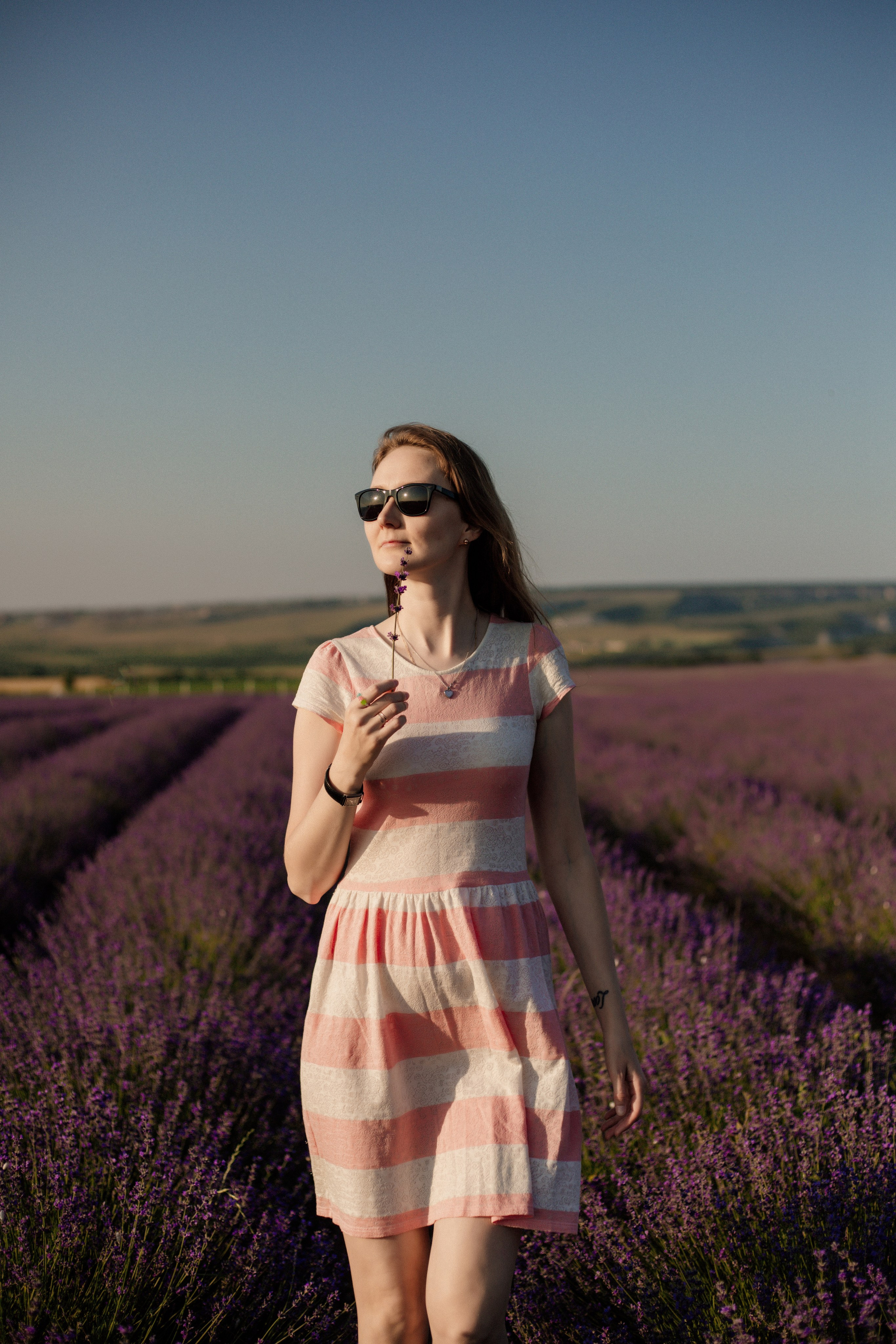 Лаванда. Фотограф и Видеограф Севастополь Крым