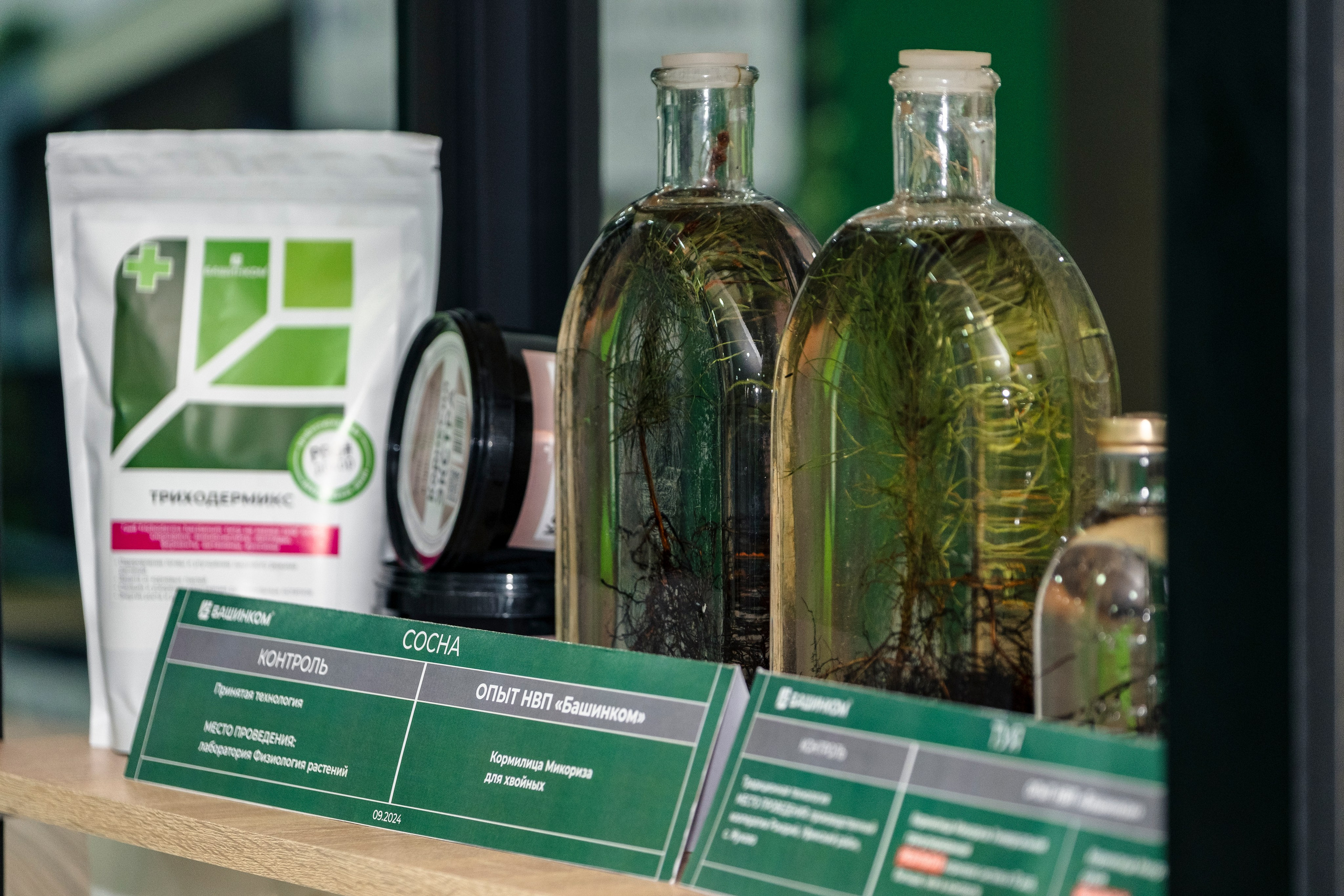 Форум АСЗИЮ. Репортажный фотограф в Сочи Екатерина Вежливцева