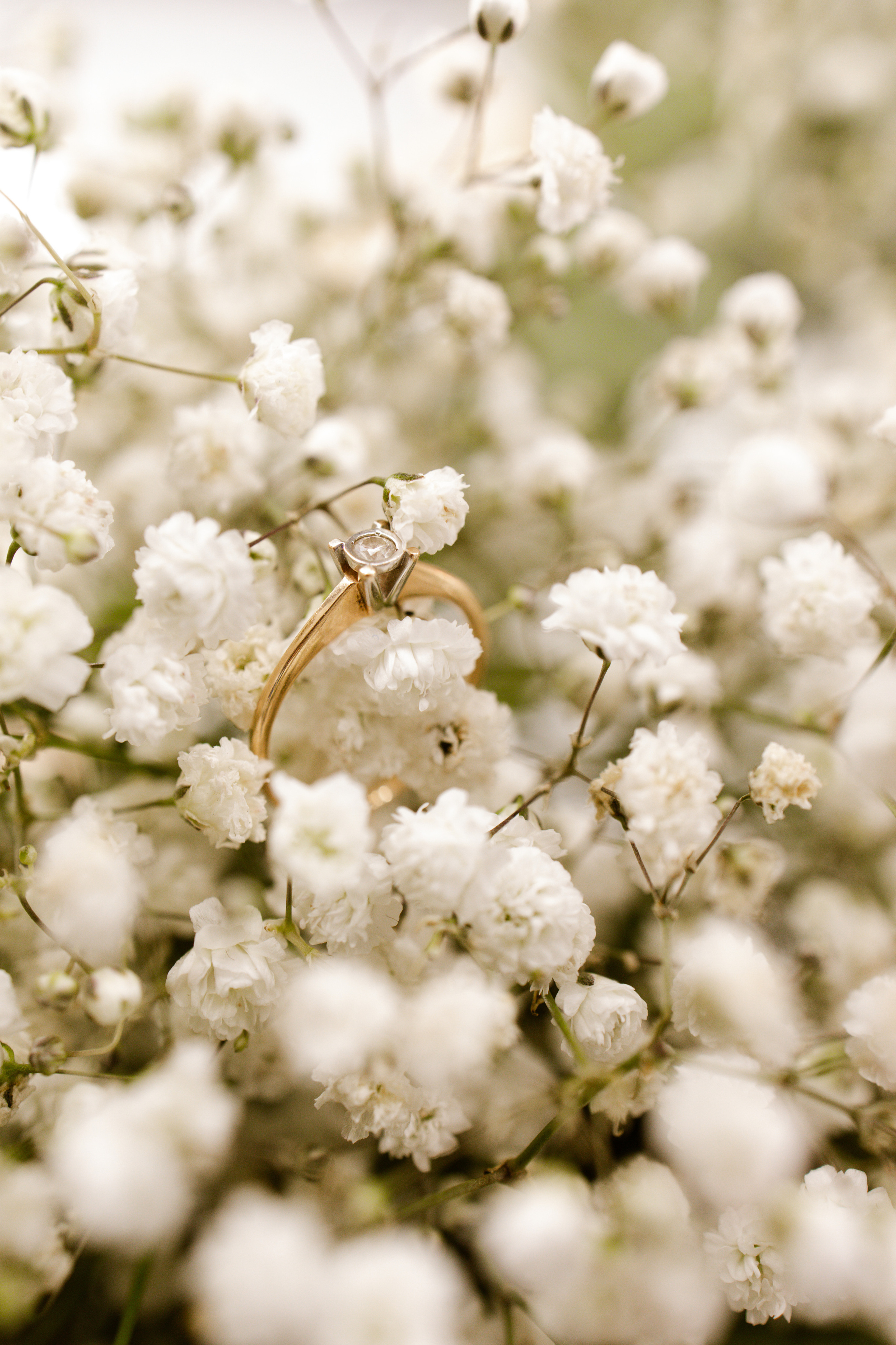 Занда & Александр. Фотограф Виктория Кравец
