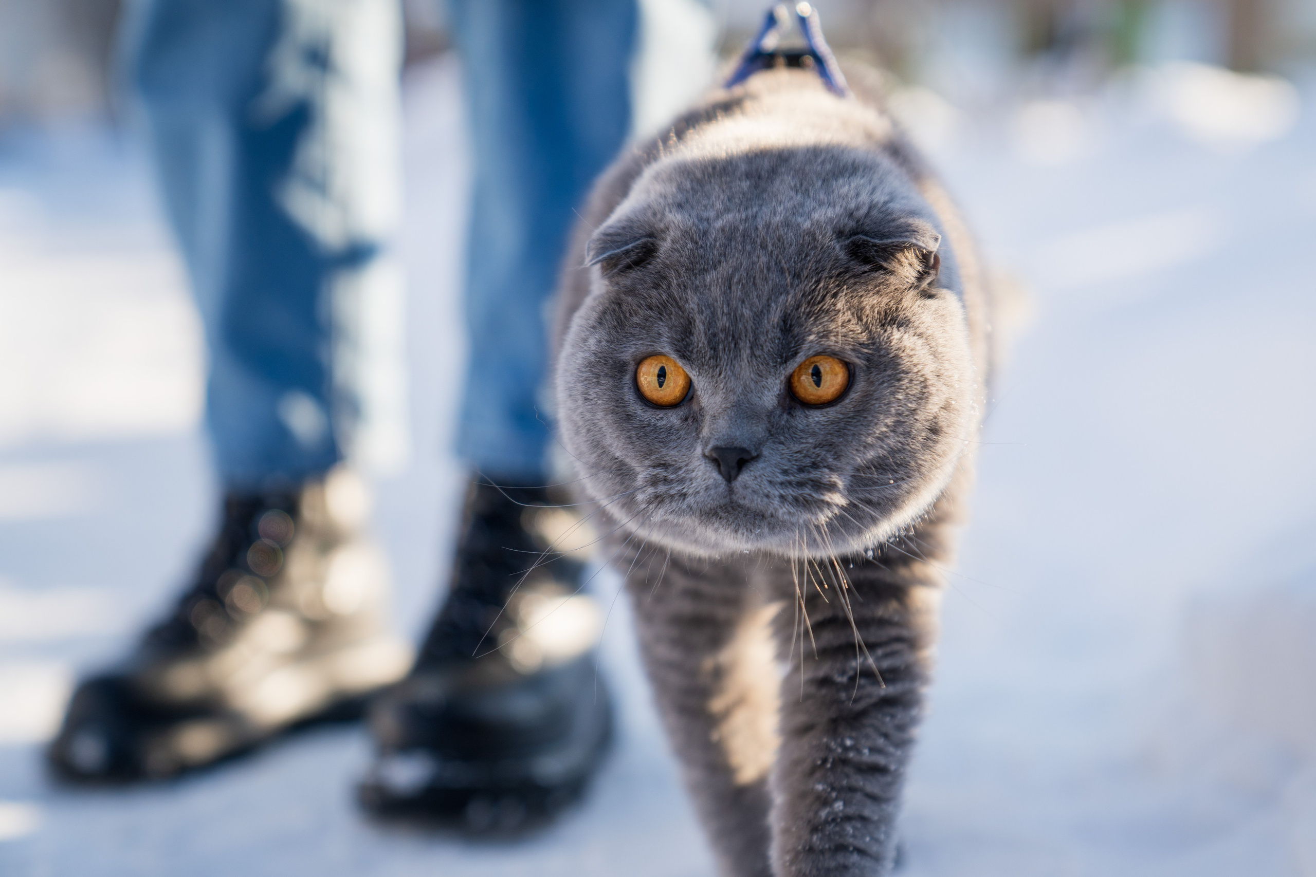 Кефир. Photography&Video