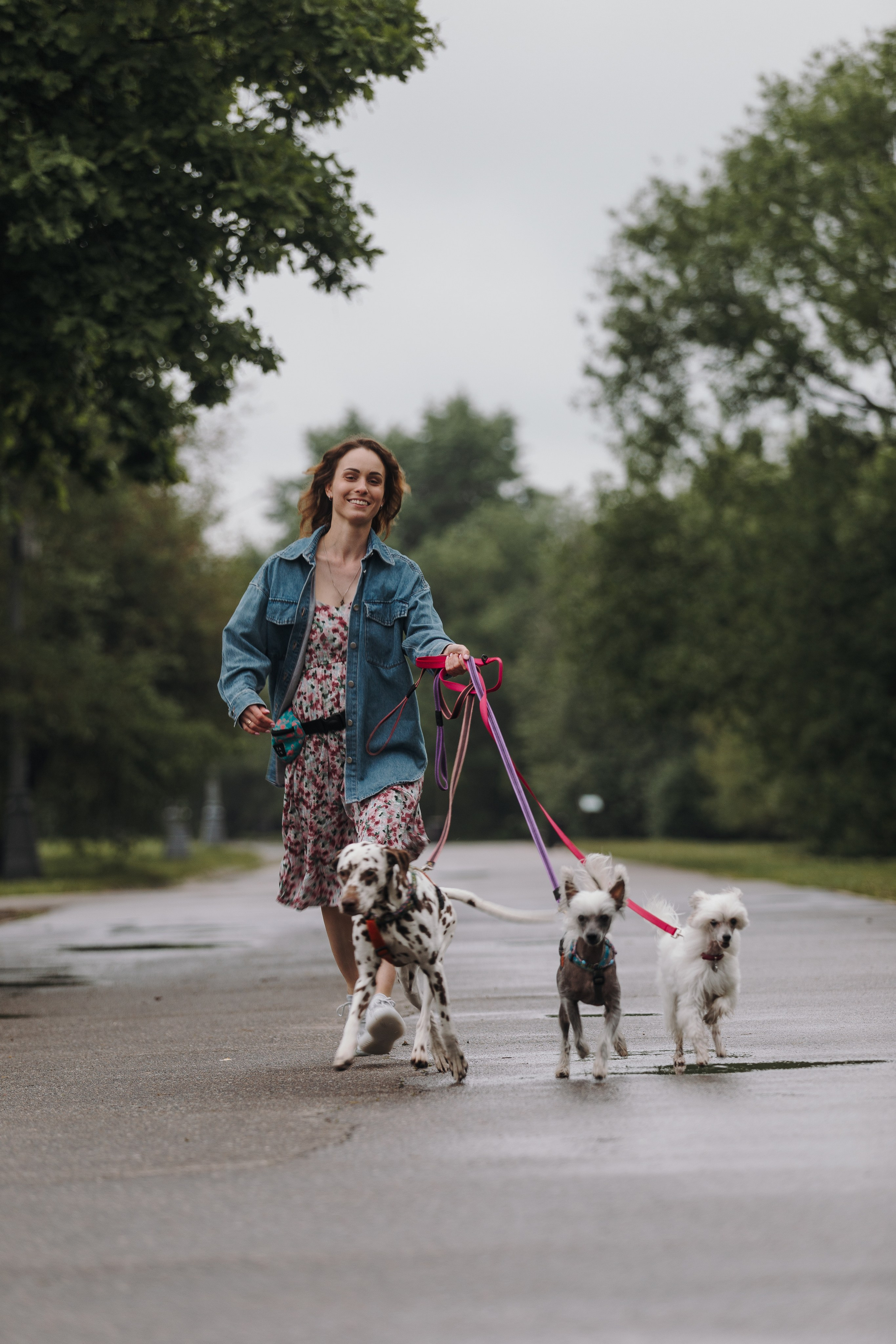 Лили, Уся, Вика и их семья. Фотограф анималист Кристина Карпова, Москва