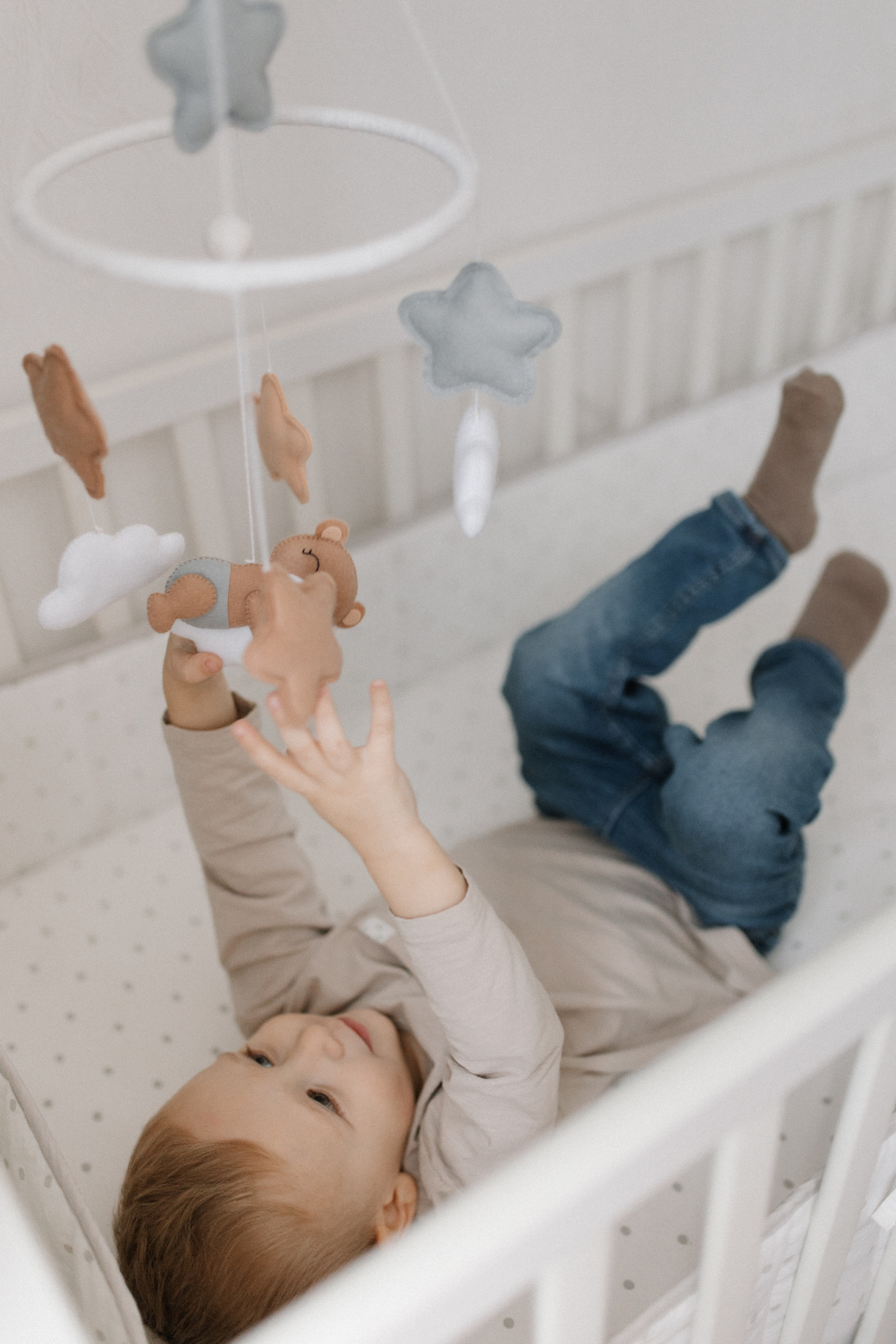 Домашнее волшебство💫. Фотограф Иваново Ольга Исакова