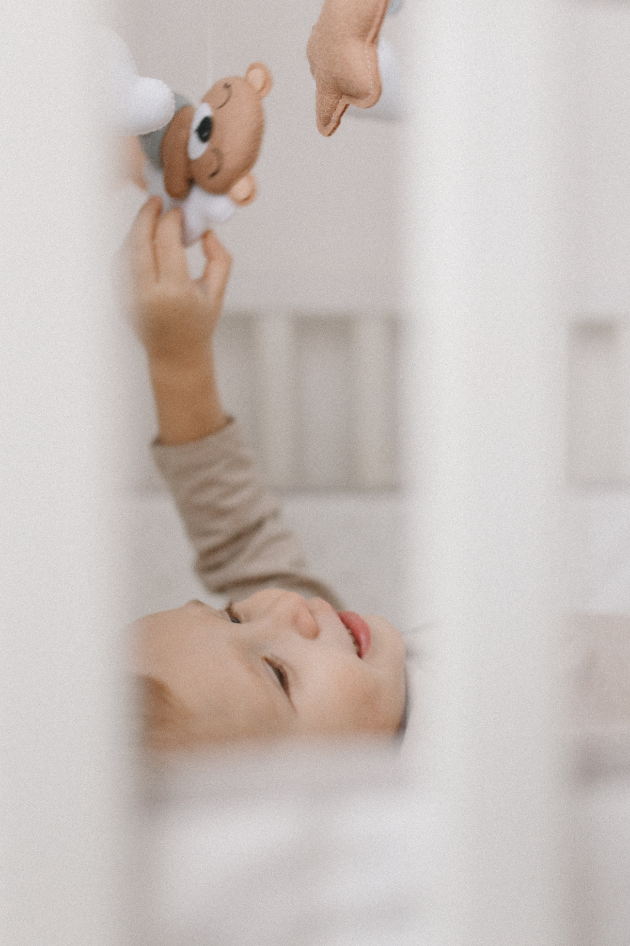 Домашнее волшебство💫. Фотограф Иваново Ольга Исакова