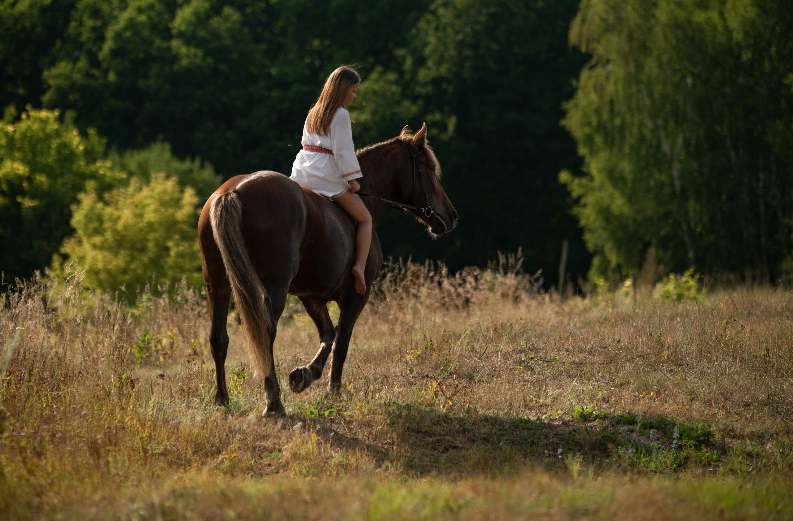 Вероника и Марта. Конный фотограф в Саратове Юлия Иванова