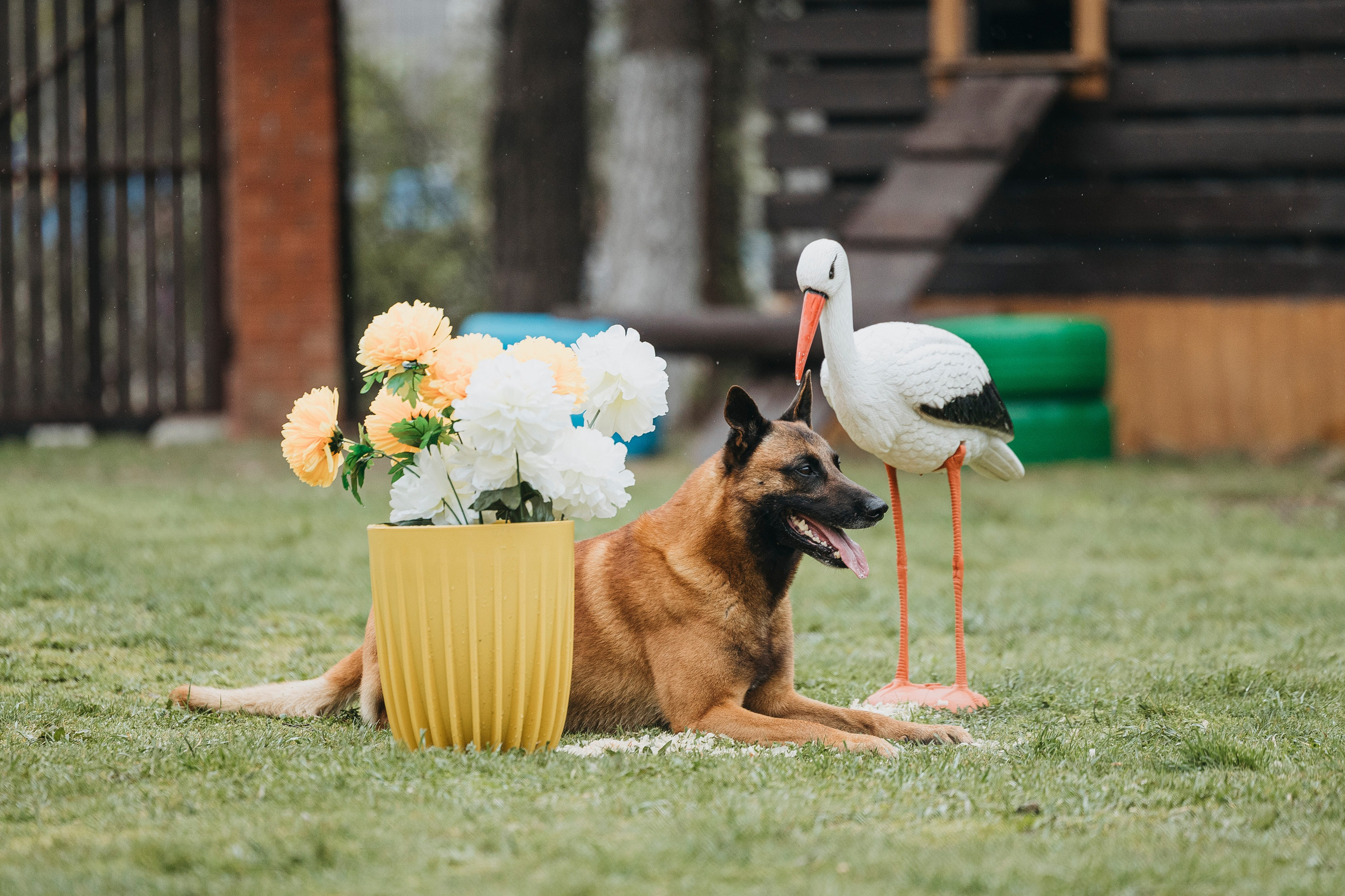 Геленджик Мондьоринг. Фотограф-анималист Анна Маринич