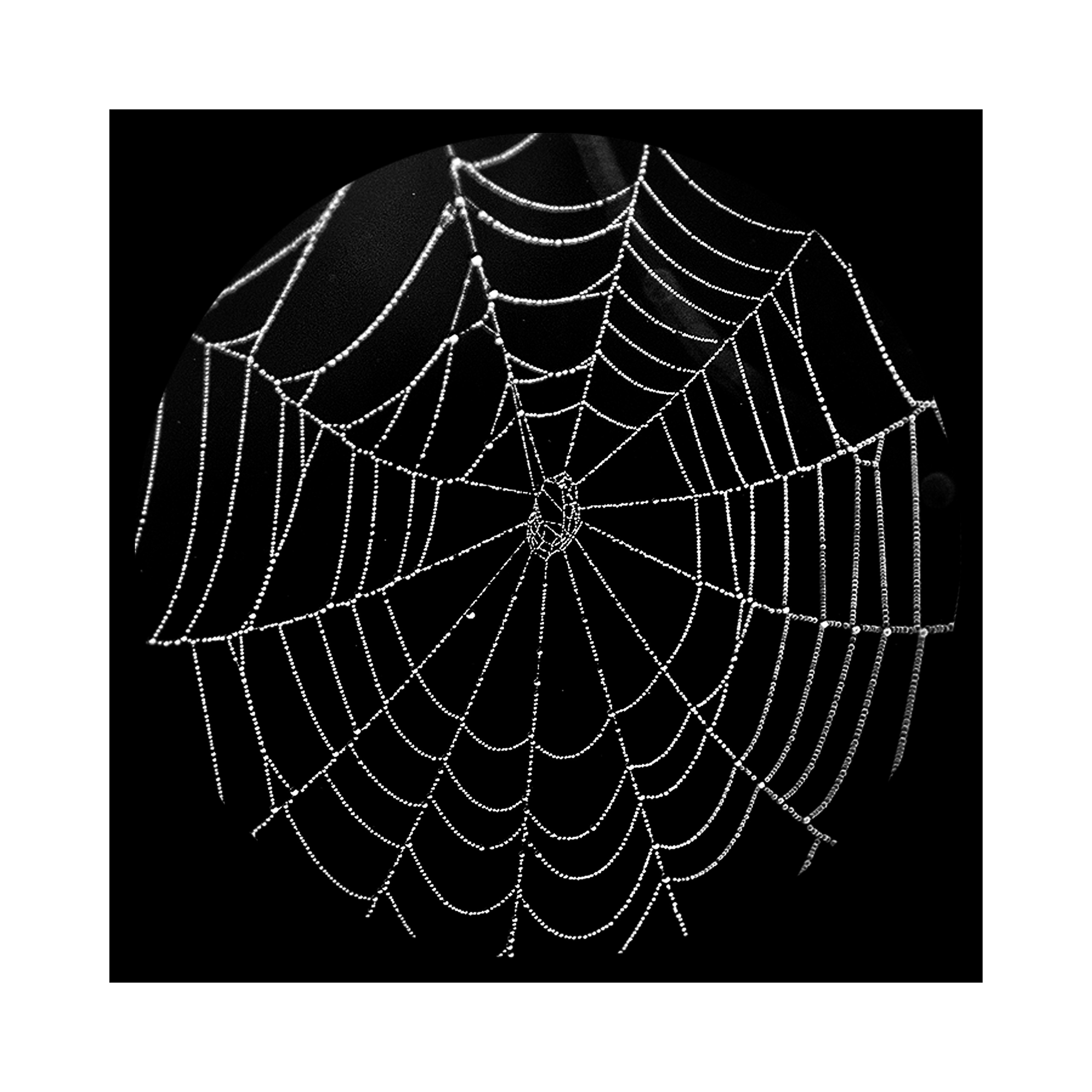 Фотопроект «Круги жизни». Портретный фотограф в Челябинске Катерина Руди