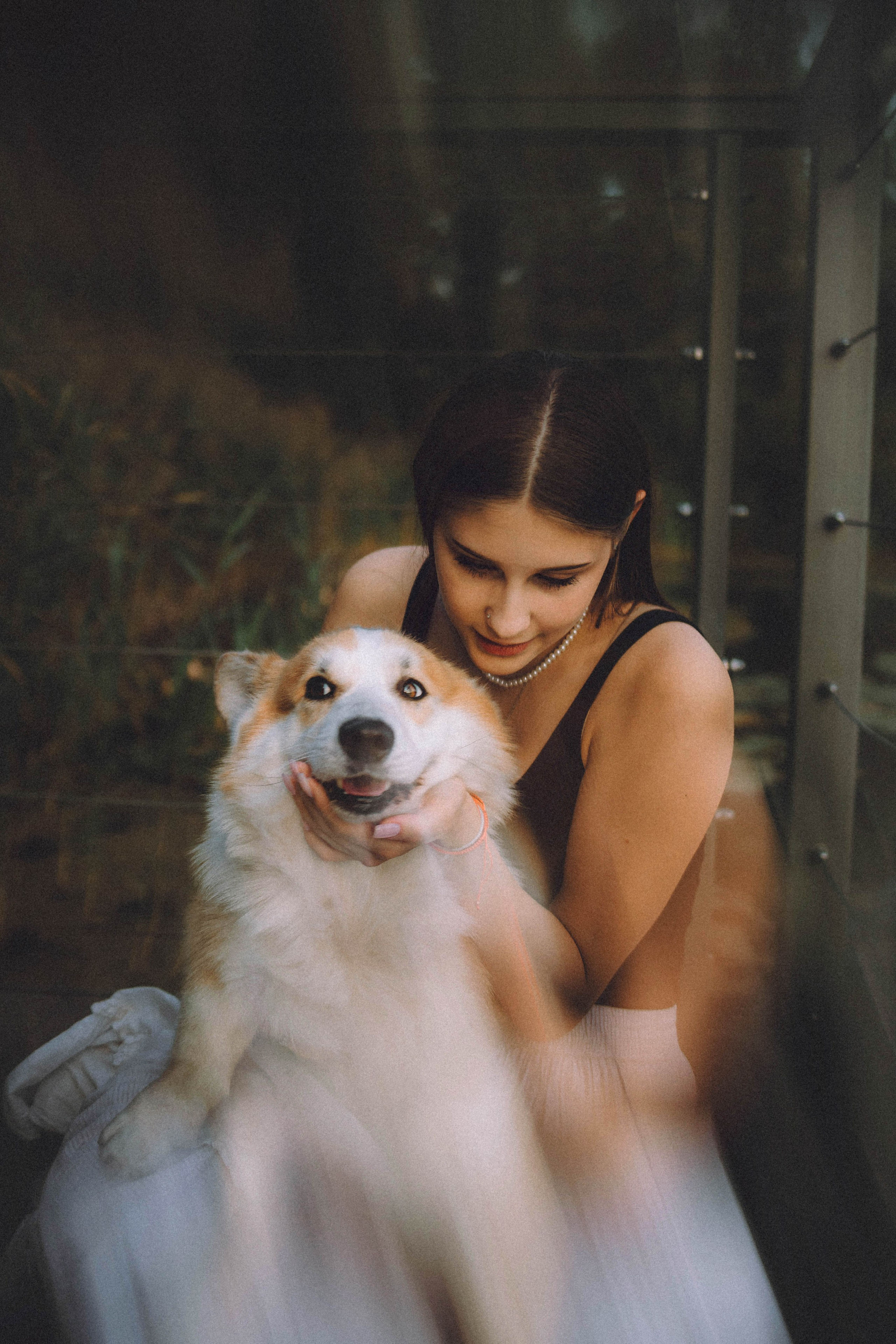 Арчи и его семья