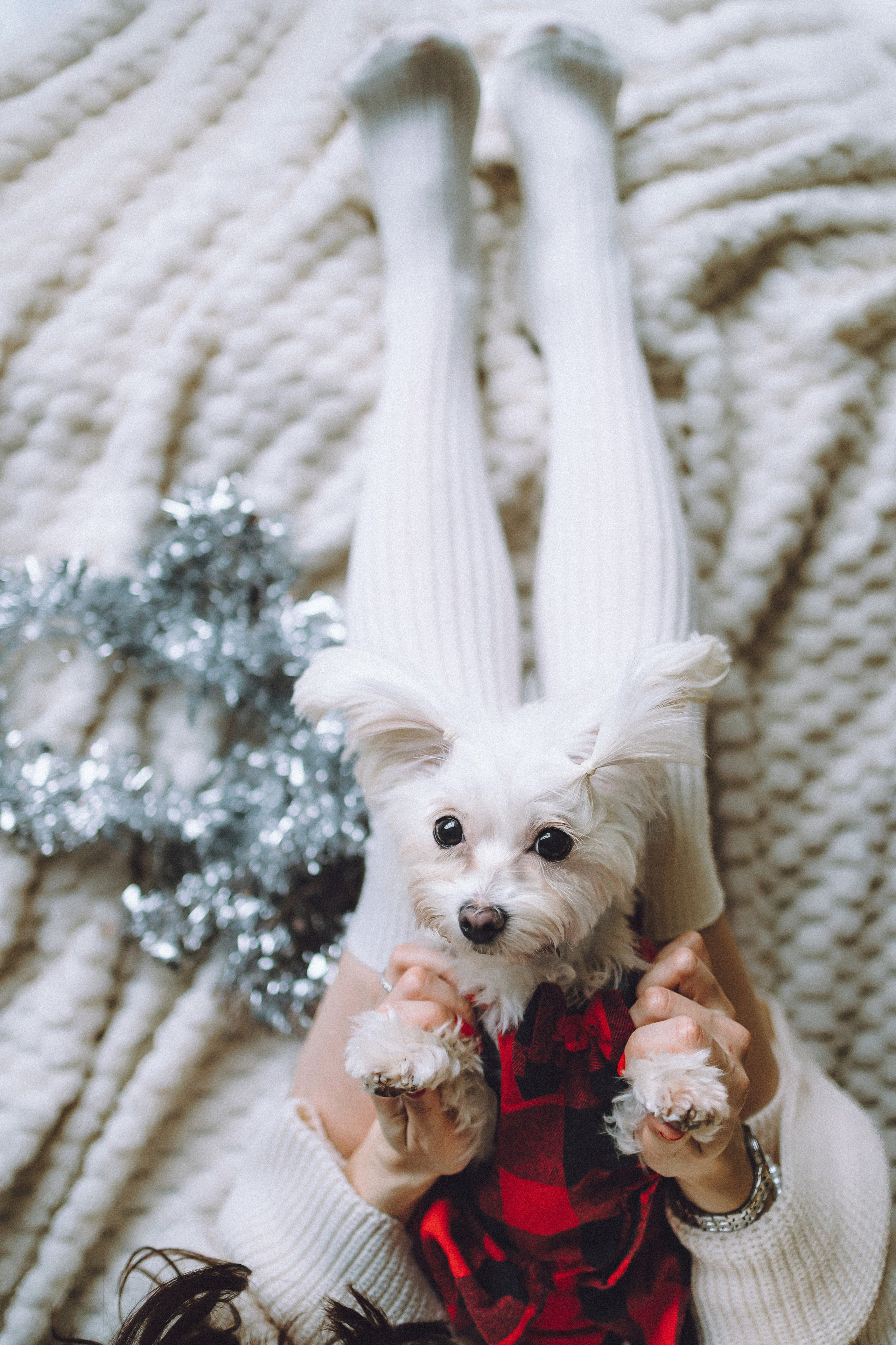 Констанция и Молли