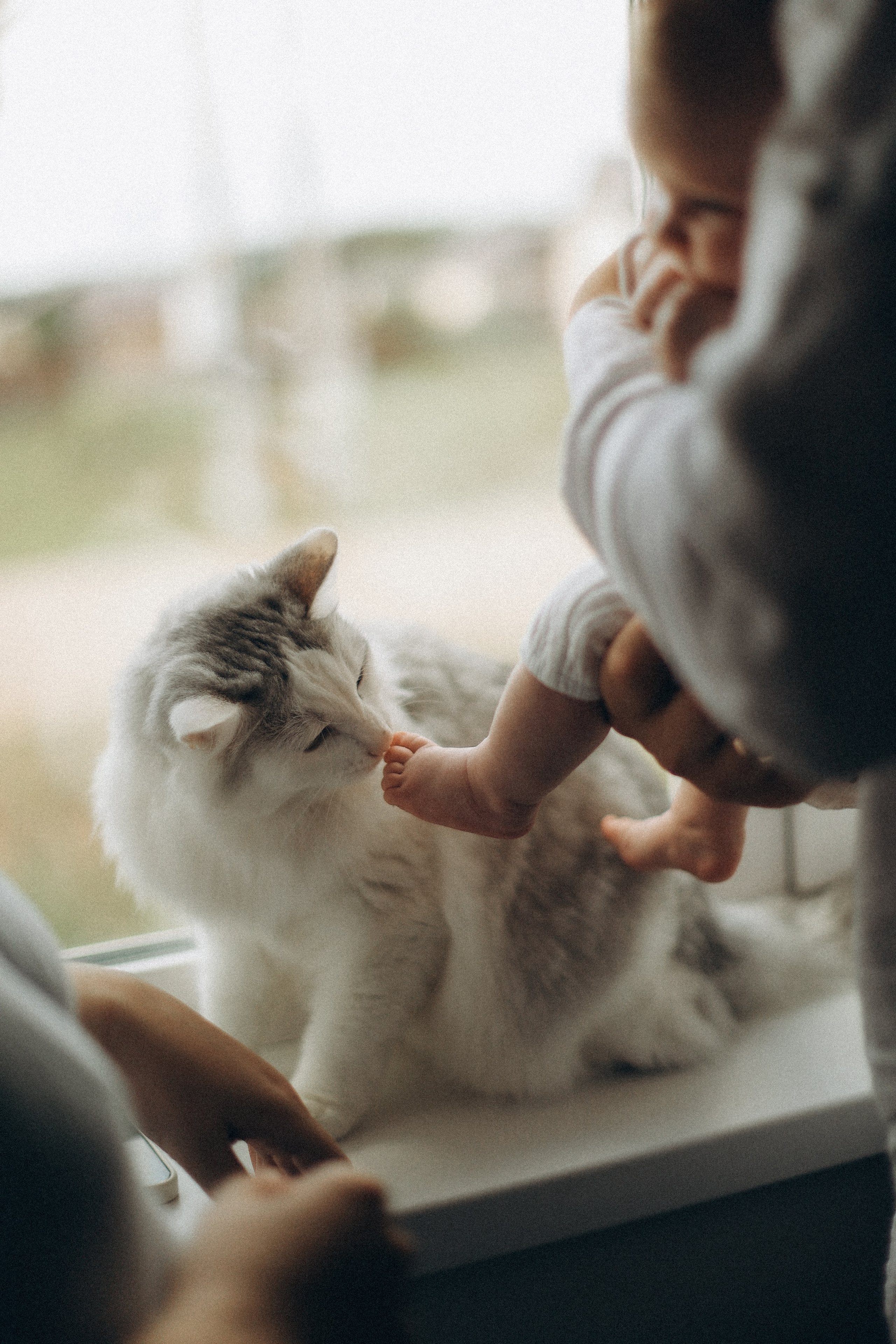 Настя, Саша и Василиса