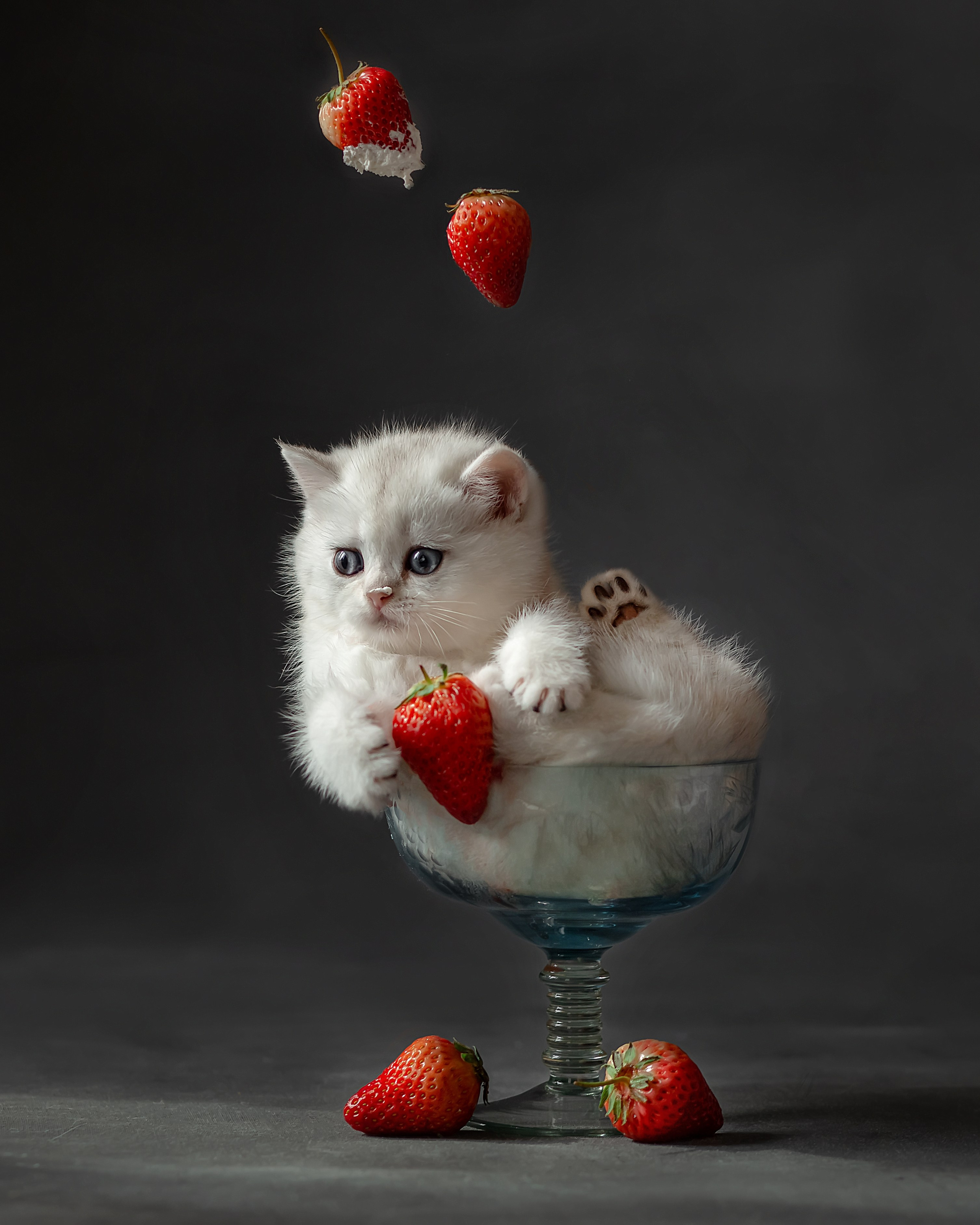 Фотограф в Хабаровске — запись на съёмку. Алена Попова — фотограф в Хабаровске