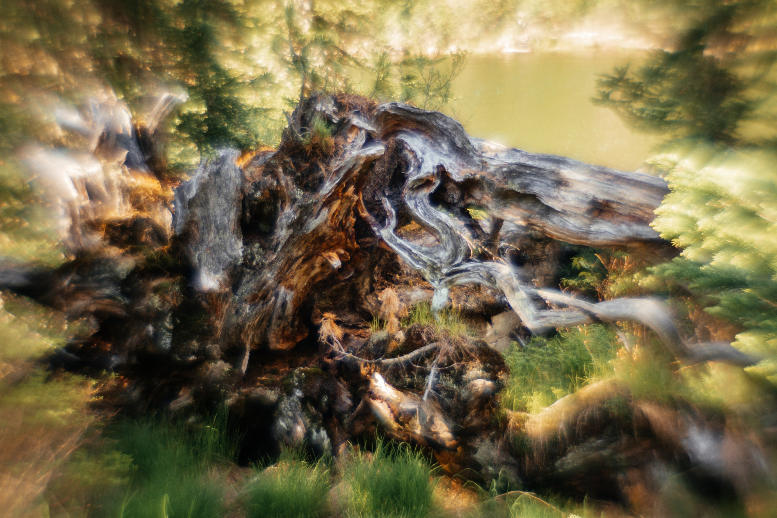 Ловец снов. Фотограф в Красноярске Оксана Корчагина