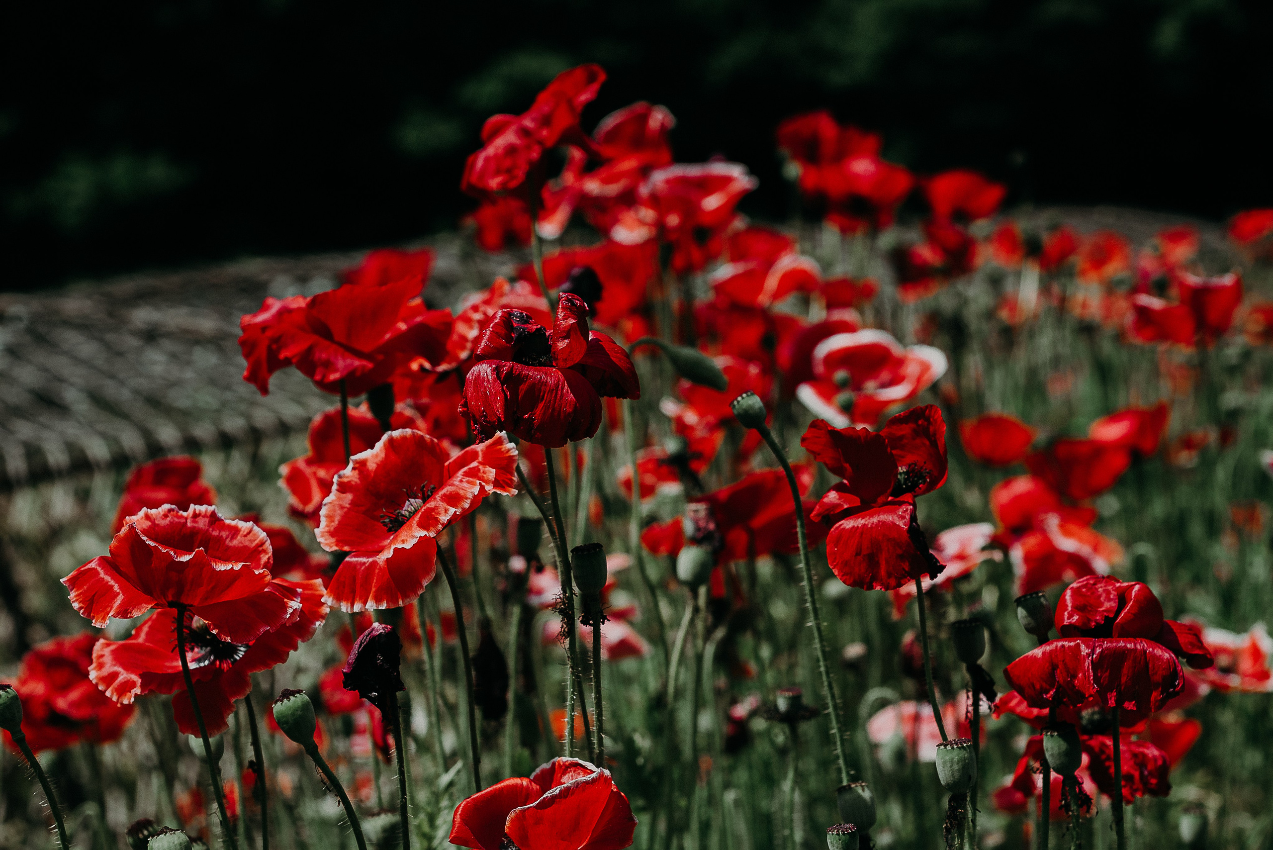 Рекламный фотограф из Гуанчжоу: путешествие по Уханю через объектив камеры. Коммерческий и предметный фотограф в Гуанчжоу Коваленко Александр