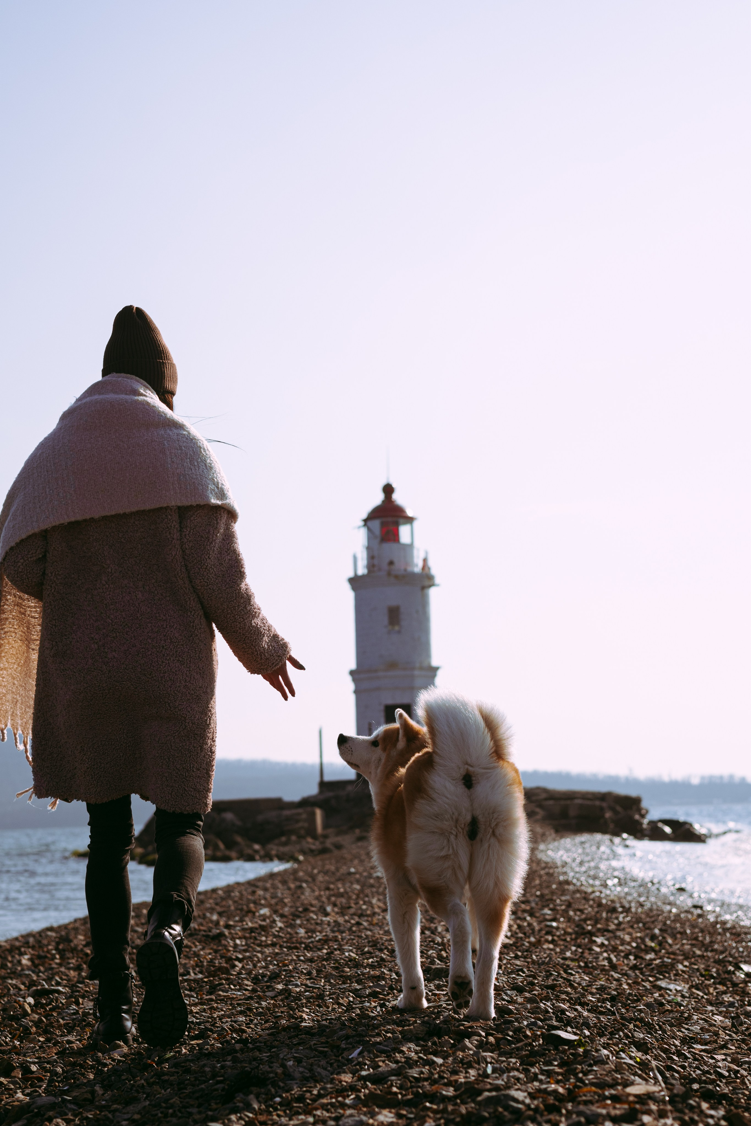 Мария и Бейла. Фотограф — анималист Владивосток, Алина