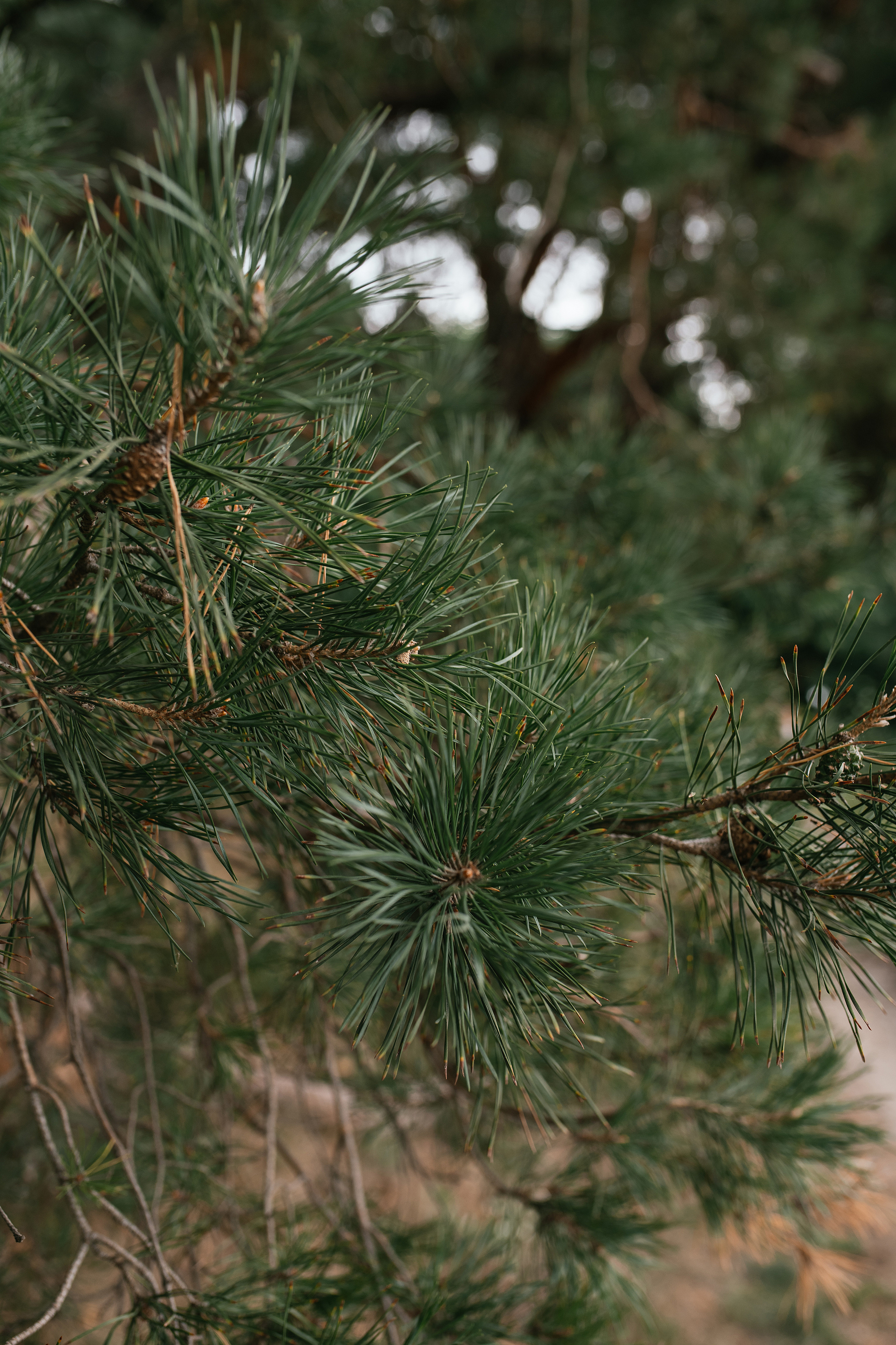 Wedding day #36. Свадебный, семейный фотограф в Рязани Лена Брант