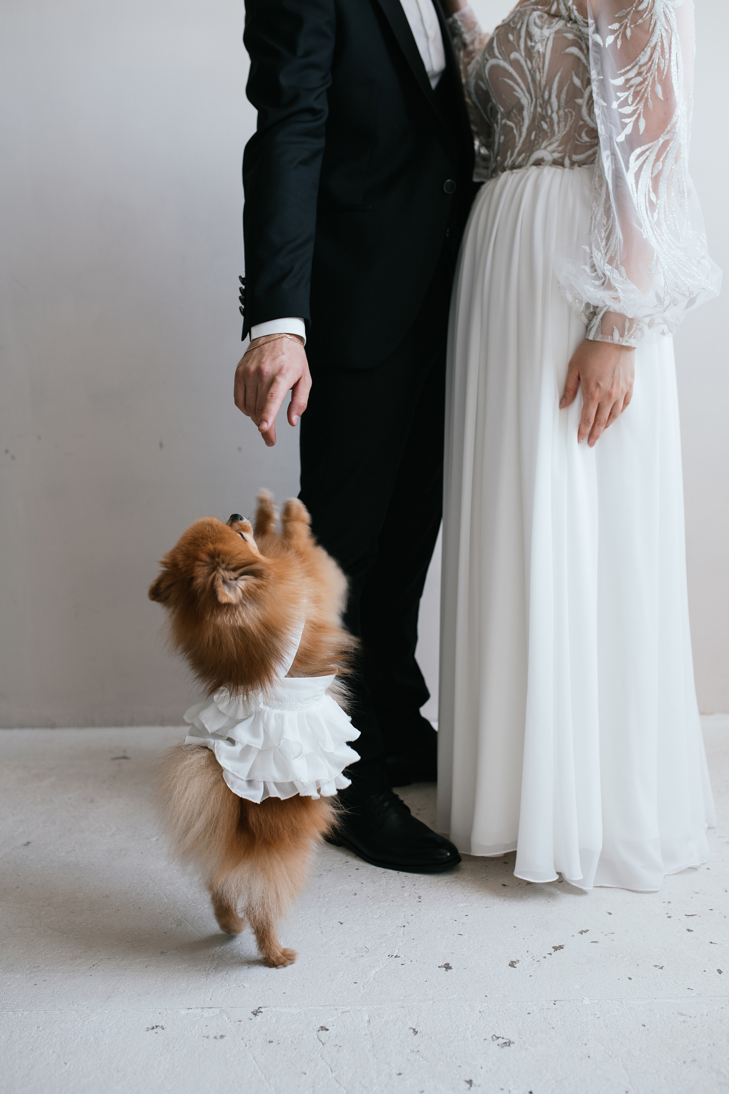 Wedding day #31. Свадебный, семейный фотограф в Рязани Лена Брант