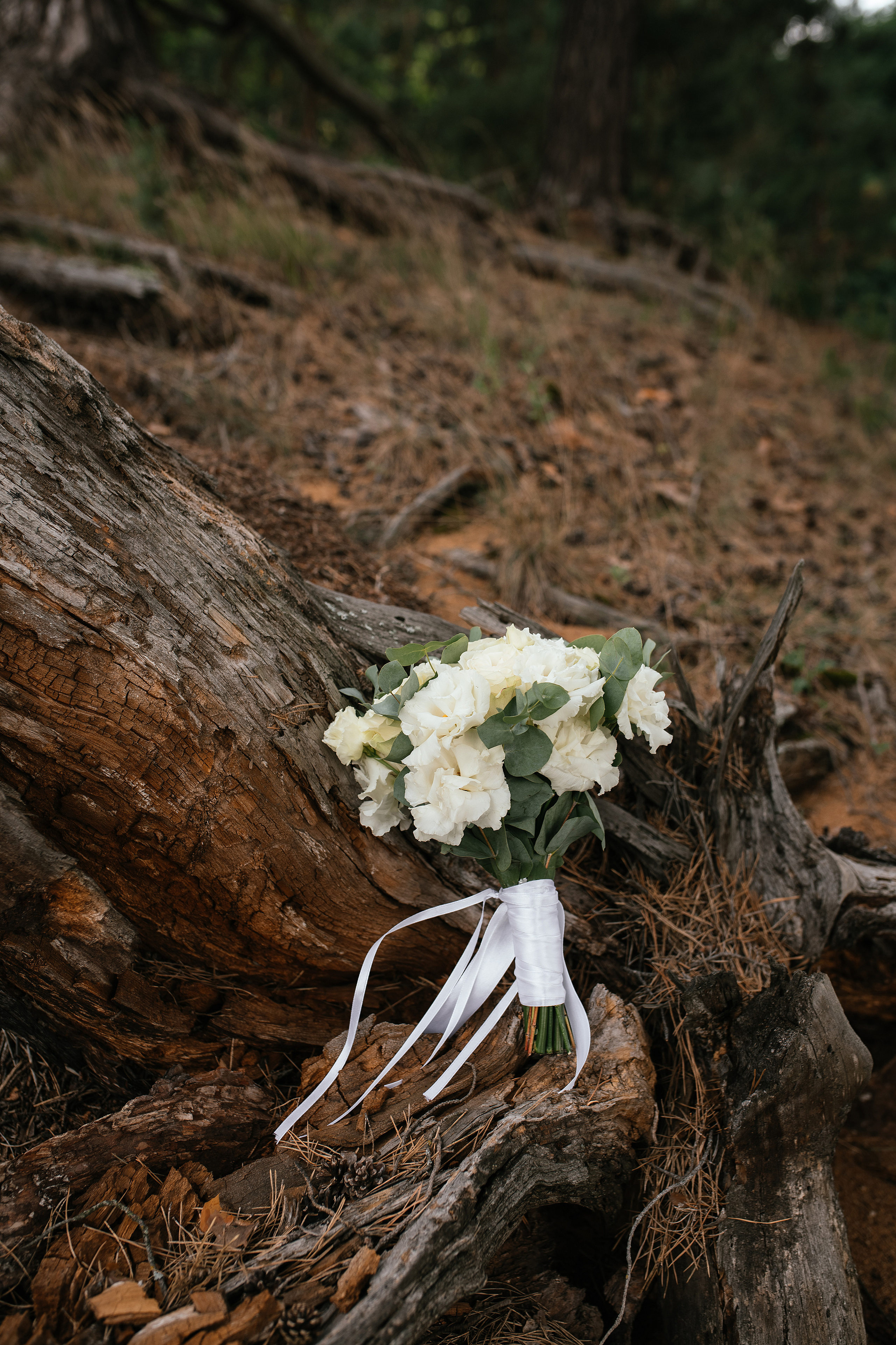 Wedding day #36. Свадебный, семейный фотограф в Рязани Лена Брант