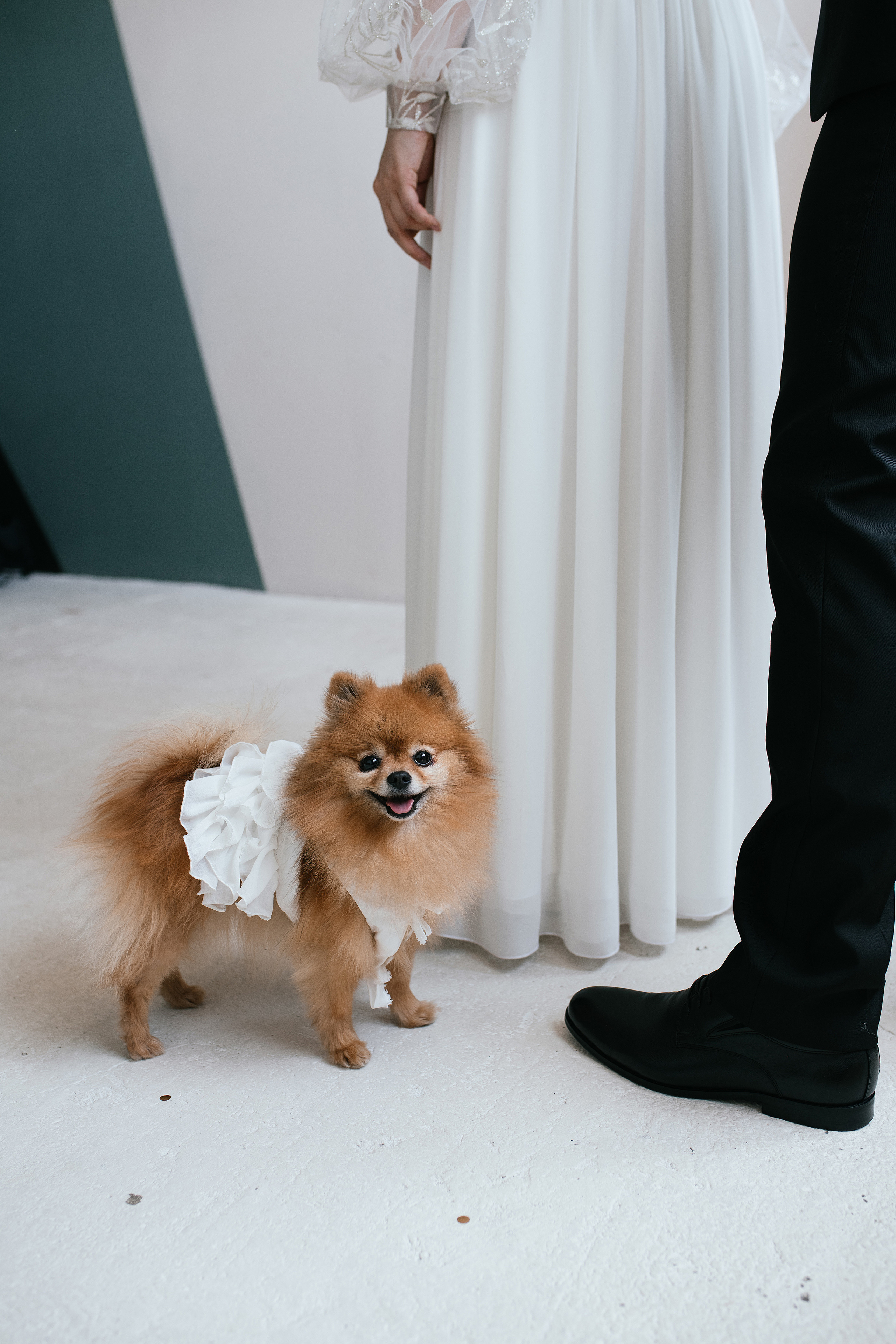 Wedding day #31. Свадебный, семейный фотограф в Рязани Лена Брант