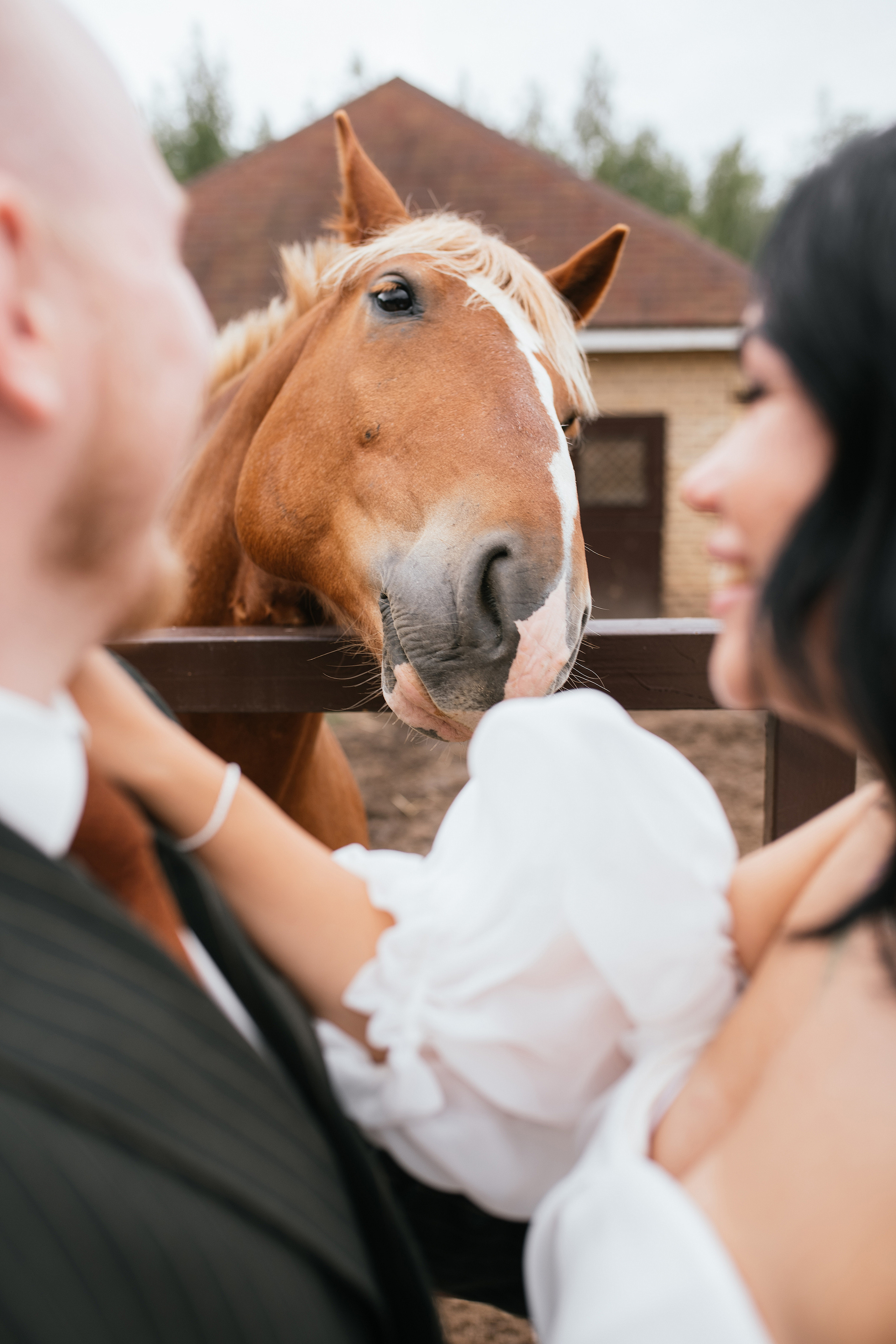 Wedding day #32. Свадебный, семейный фотограф в Рязани Лена Брант