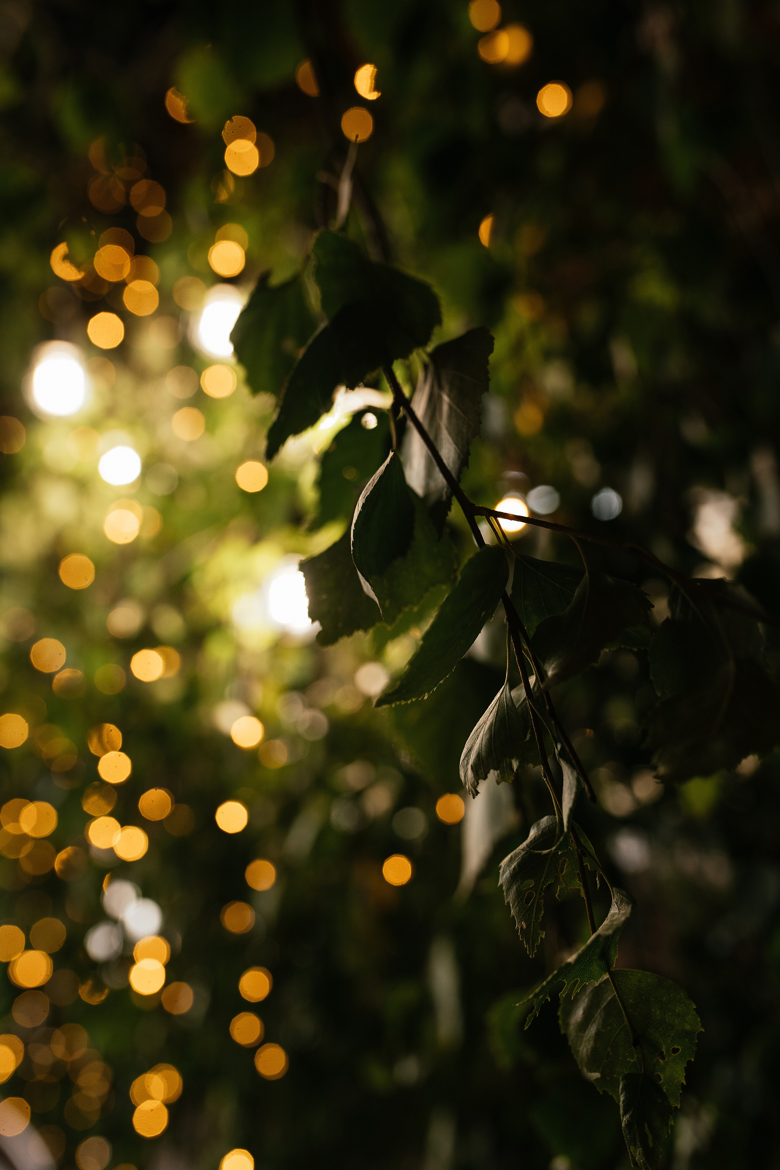 Wedding day #32. Свадебный, семейный фотограф в Рязани Лена Брант