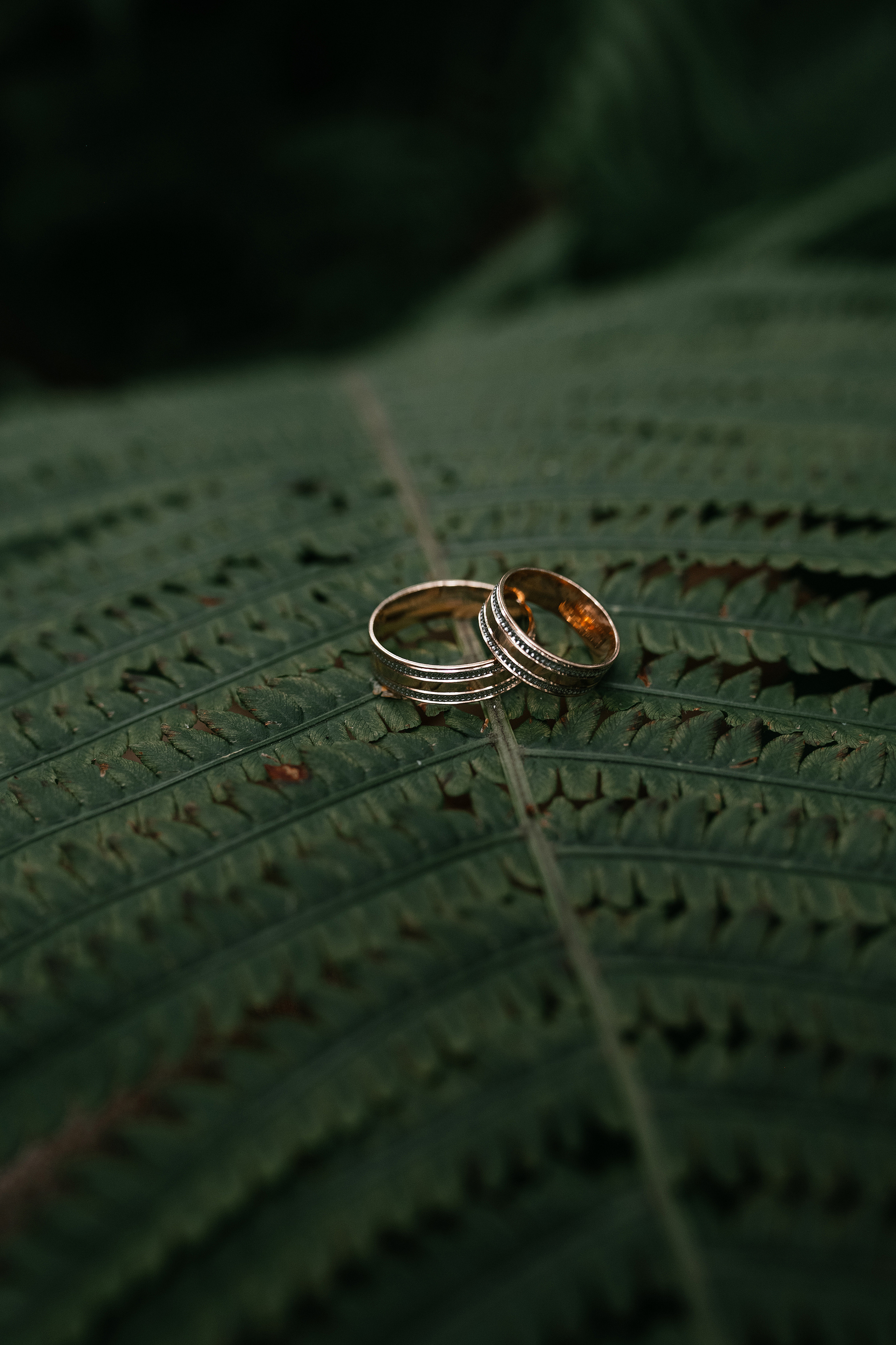 Wedding day #36. Свадебный, семейный фотограф в Рязани Лена Брант