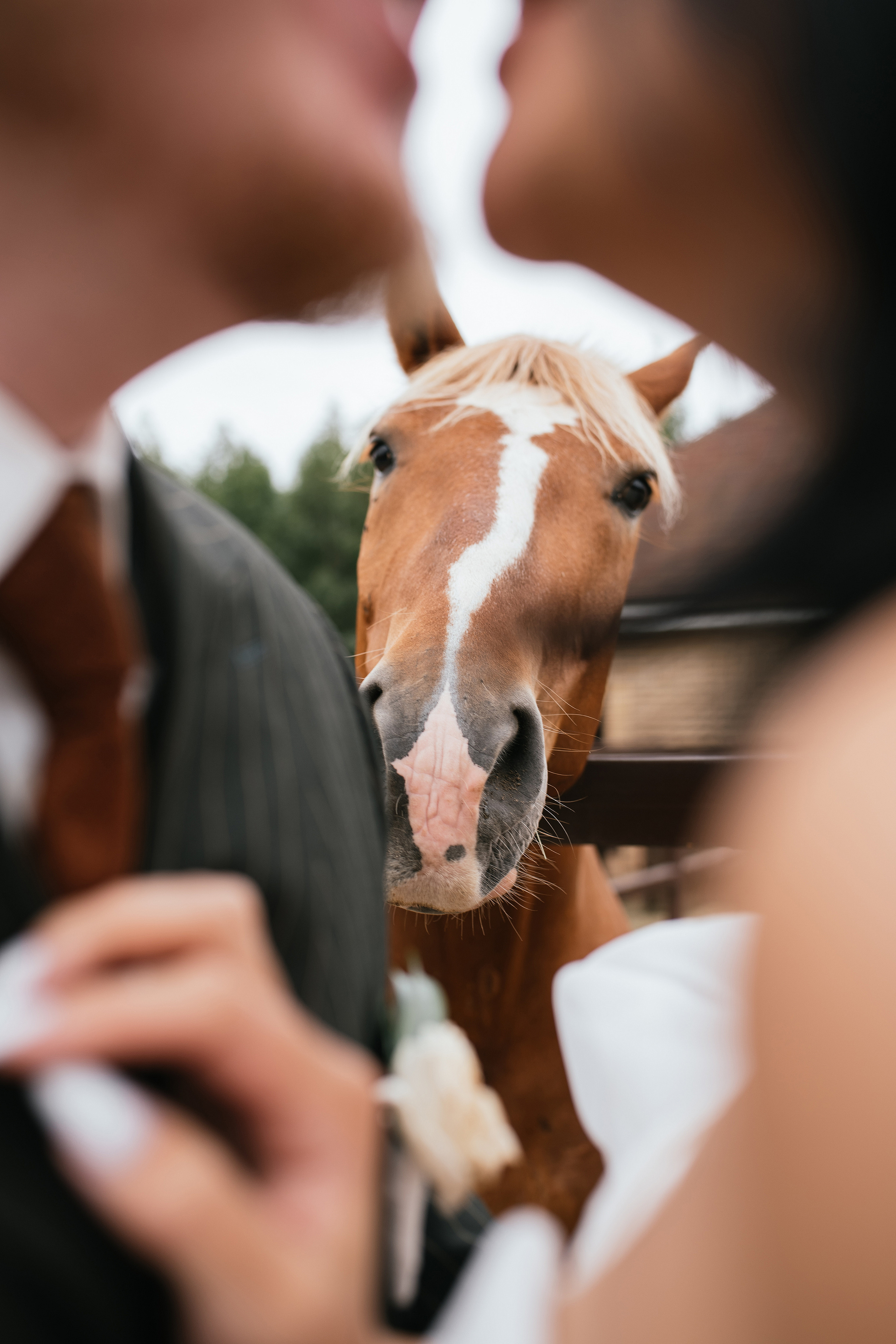 Wedding day #32. Свадебный, семейный фотограф в Рязани Лена Брант