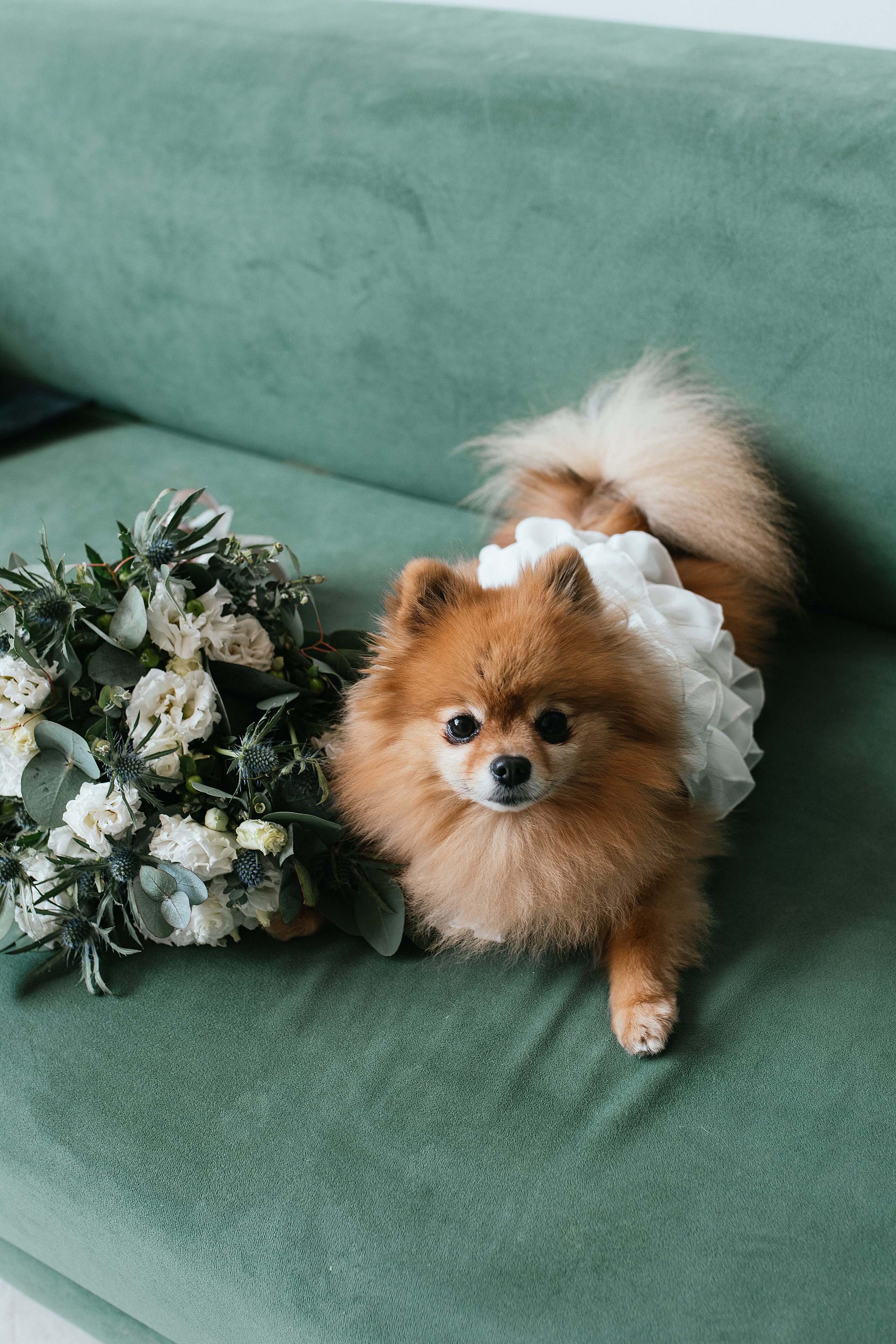 Wedding day #31. Свадебный, семейный фотограф в Рязани Лена Брант