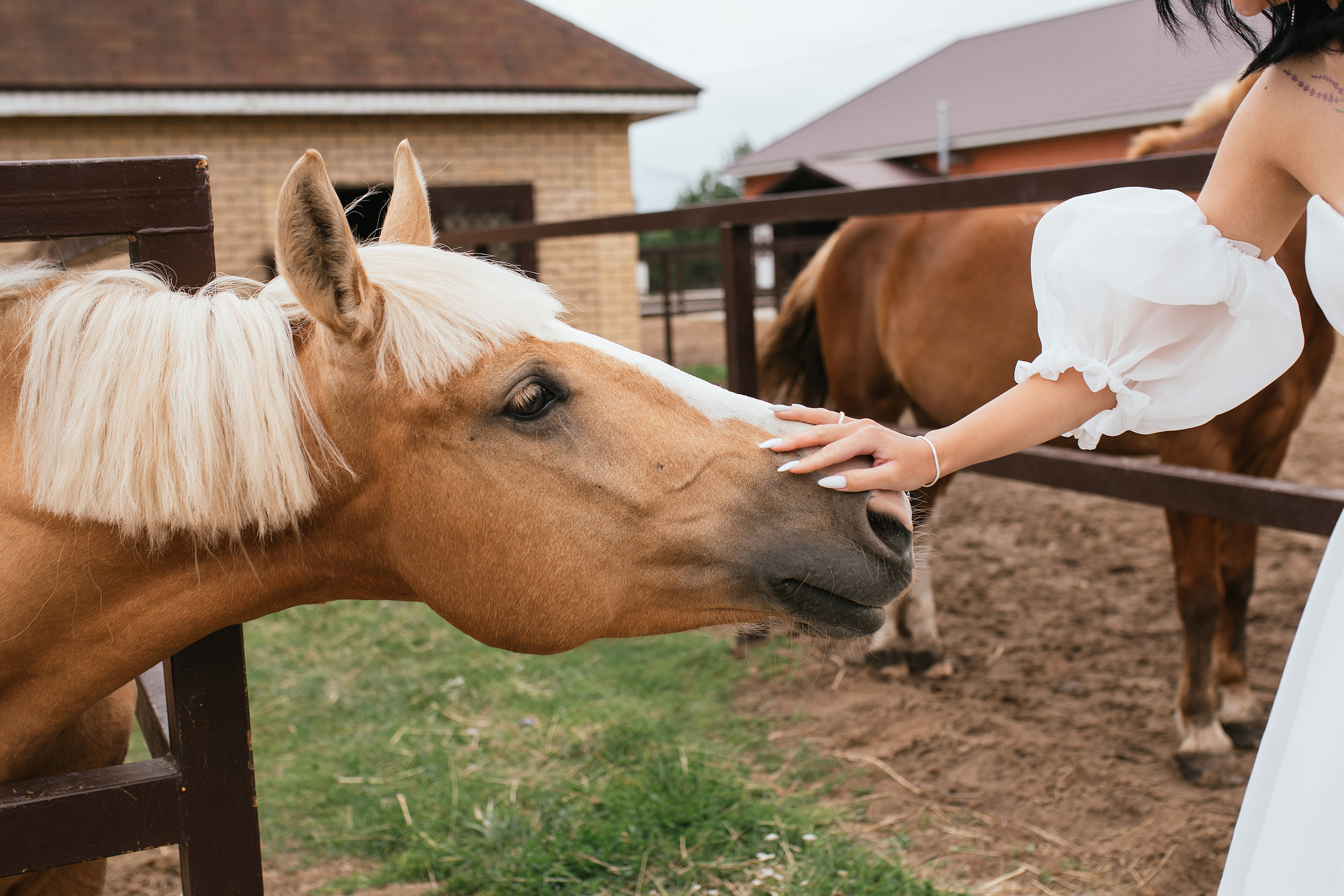 Wedding day #32. Свадебный, семейный фотограф в Рязани Лена Брант