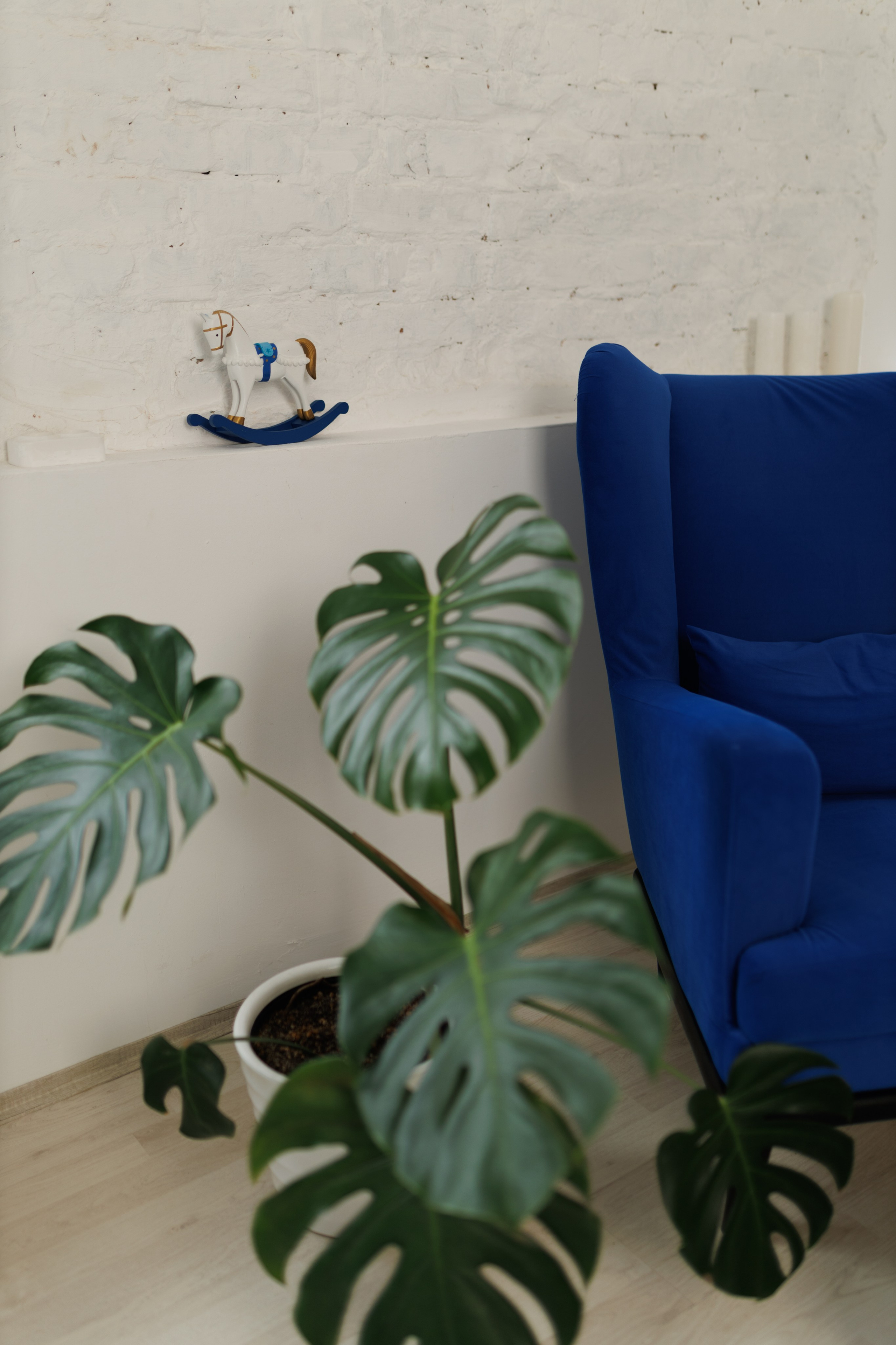 БРОНИРОВАТЬ. Фотостудия LEMAR