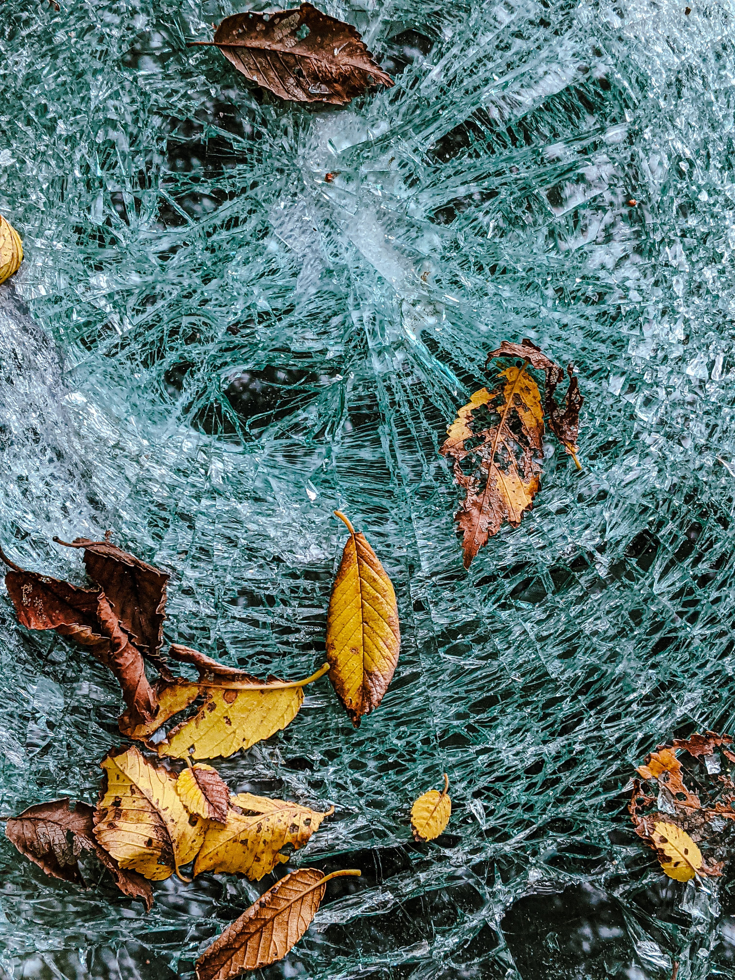 Мобильная фотография. Интерьерный и портретный фотограф в Москве Анна Моногарова