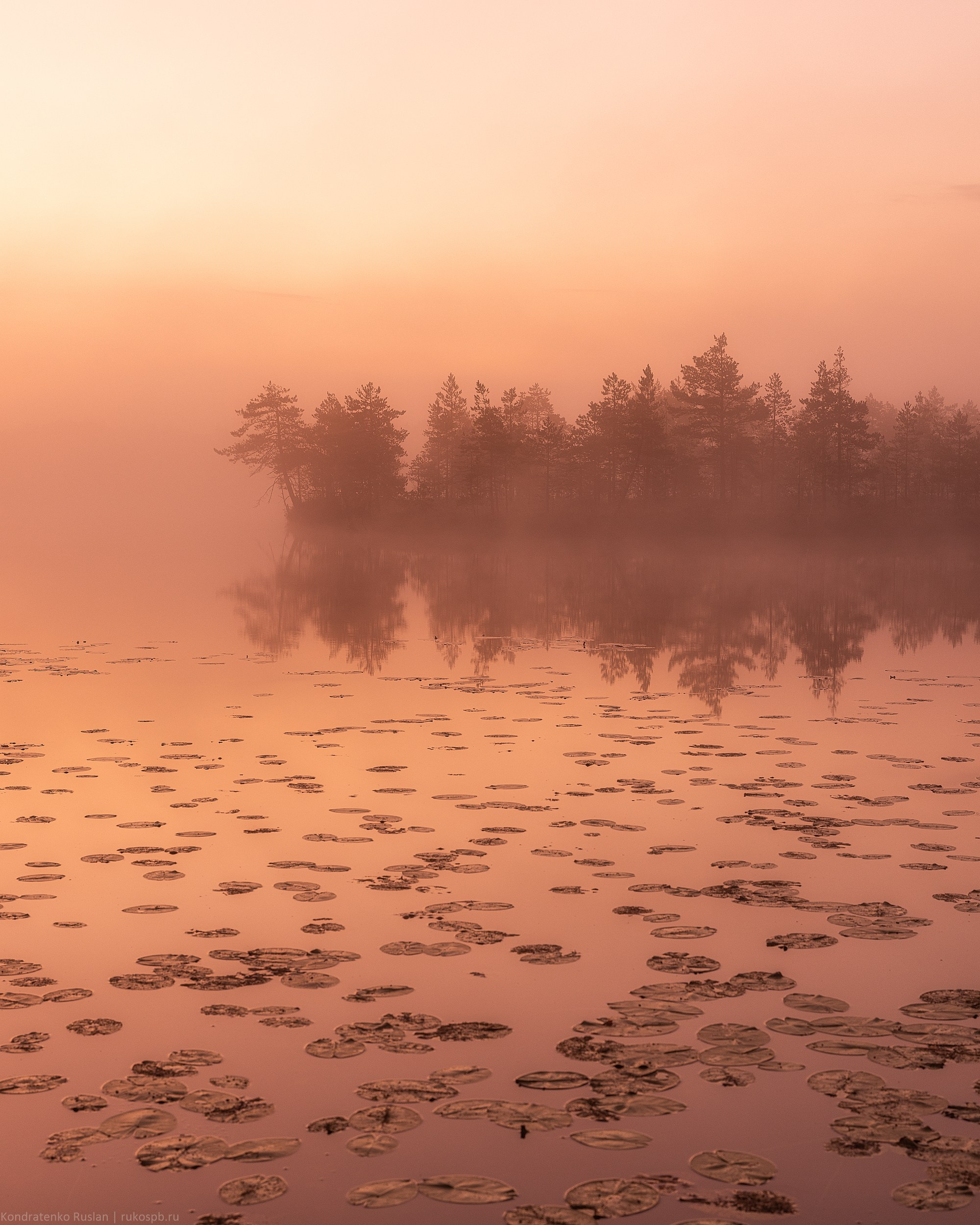 Ленинградская область. Архитектурный и пейзажный фотограф Кондратенко Руслан, Санкт-Петербург