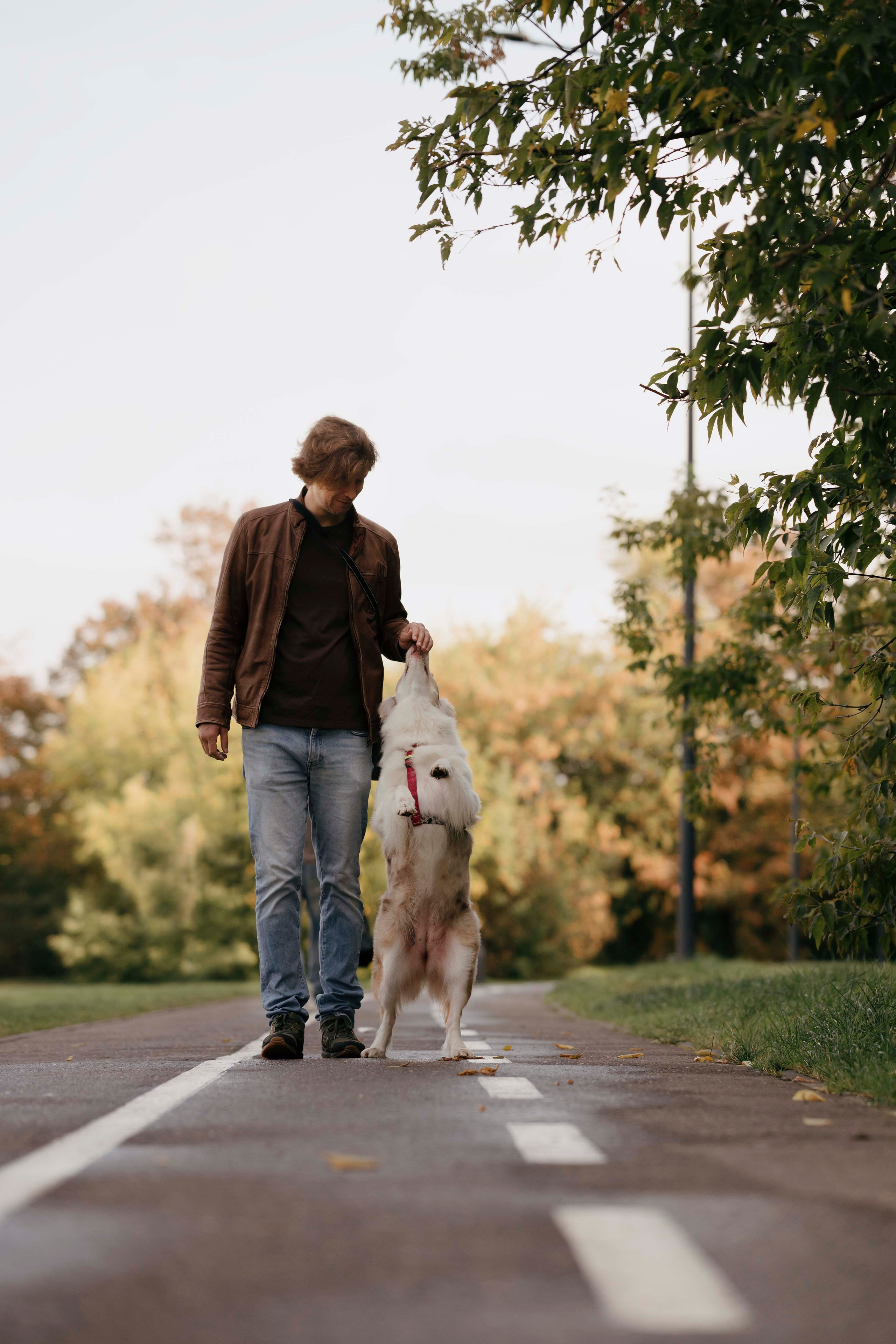 Дженни. Фотограф- анималист Александра Матвеева